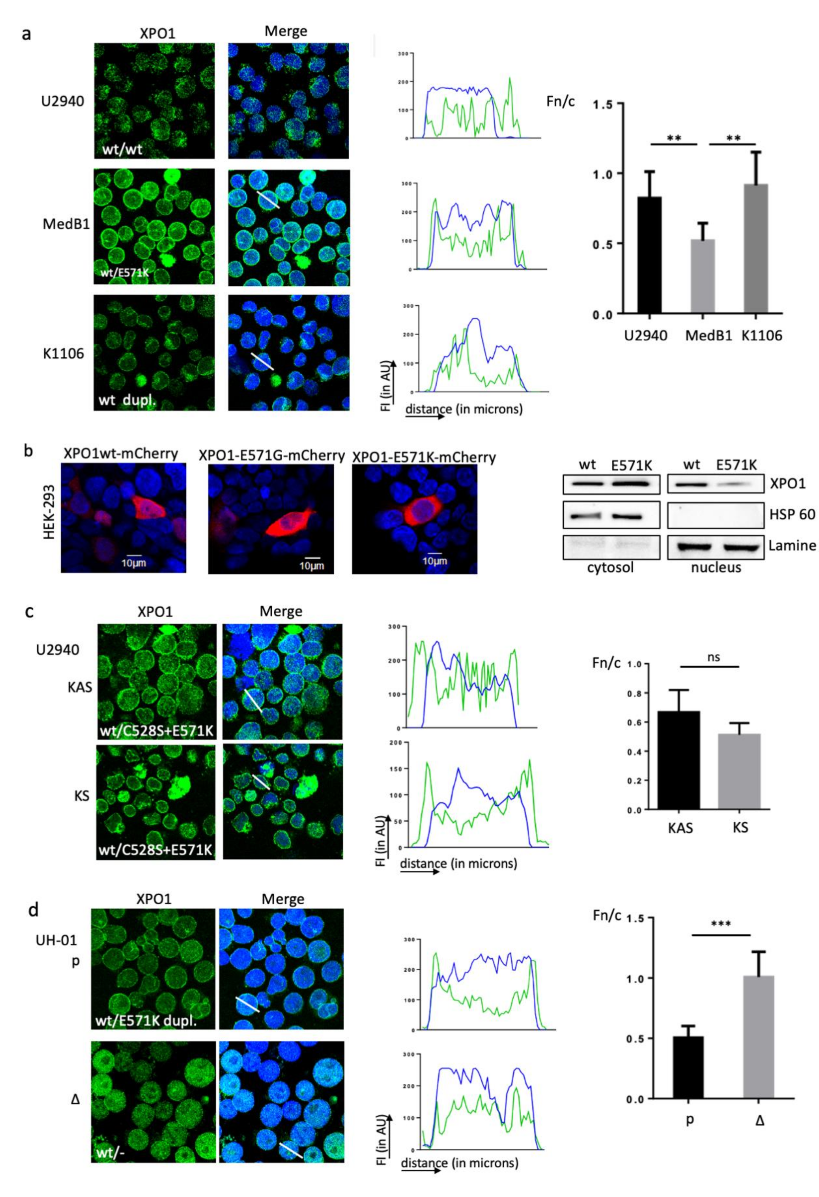 Cancers 12 02829 g004