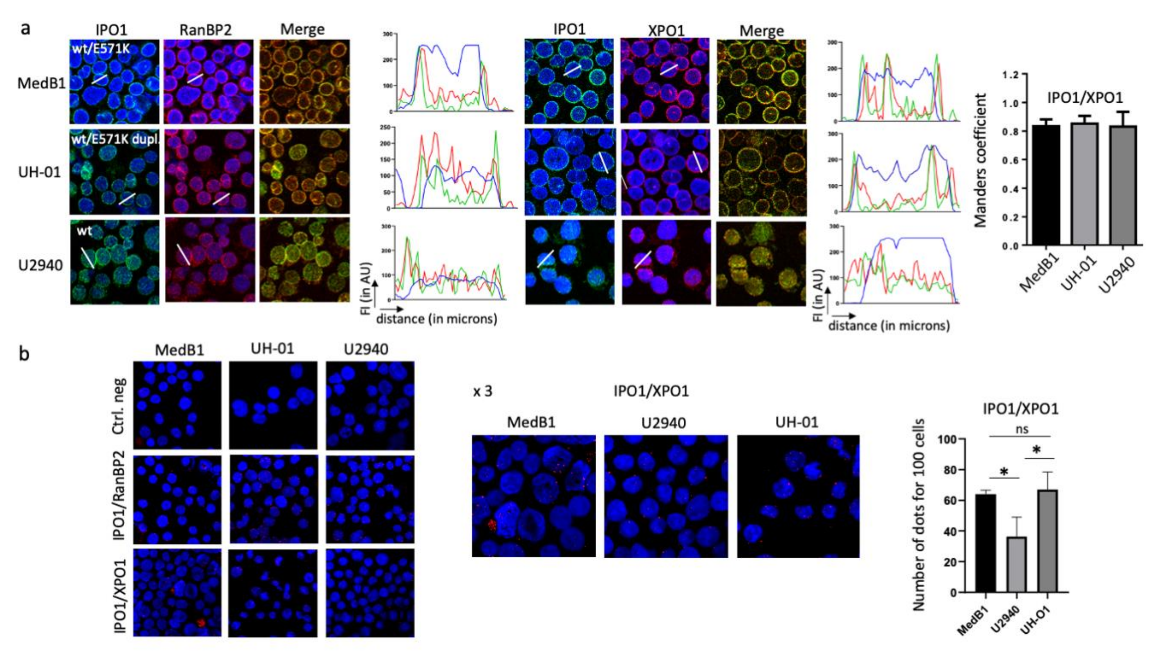 Cancers 12 02829 g005a