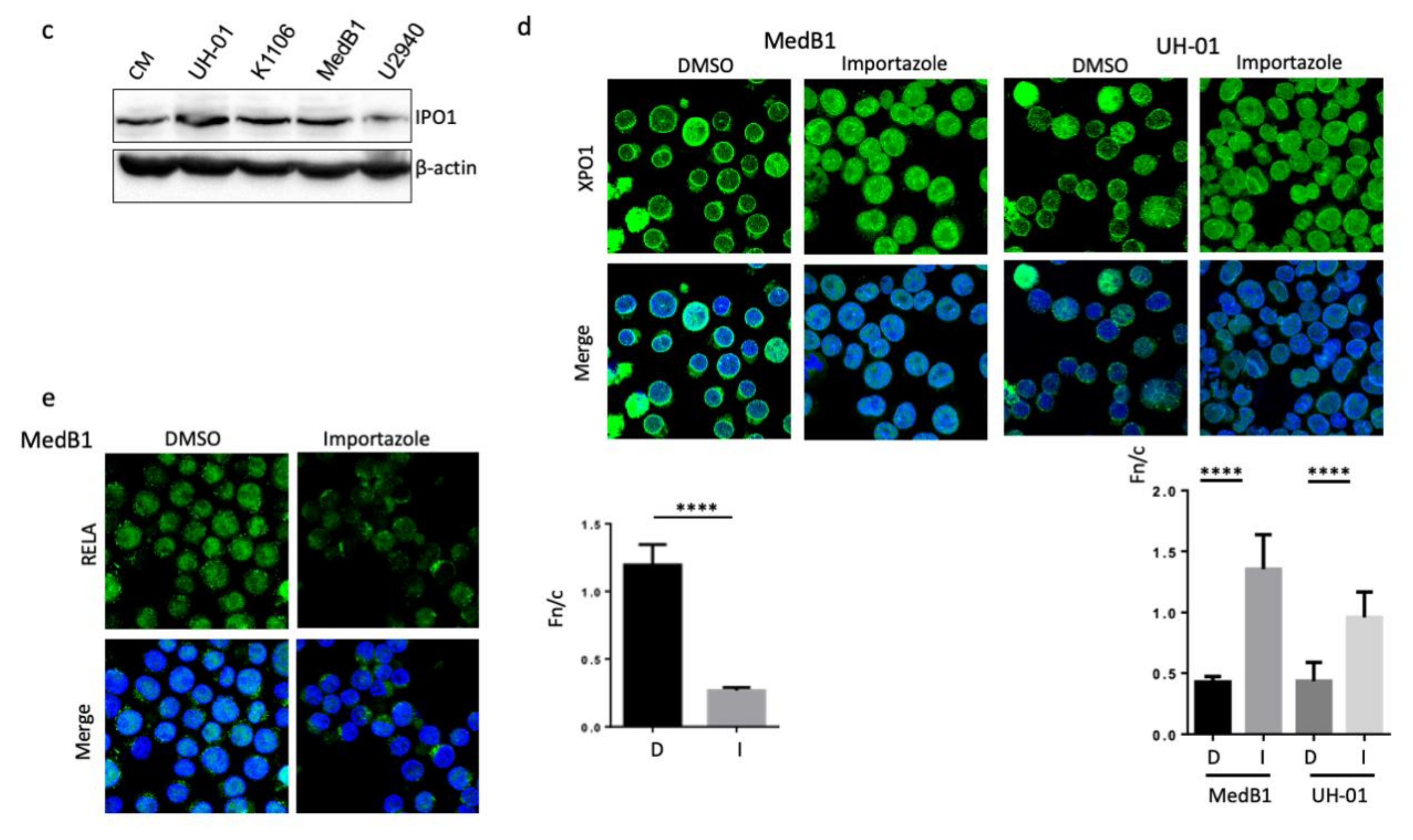 Cancers 12 02829 g005b