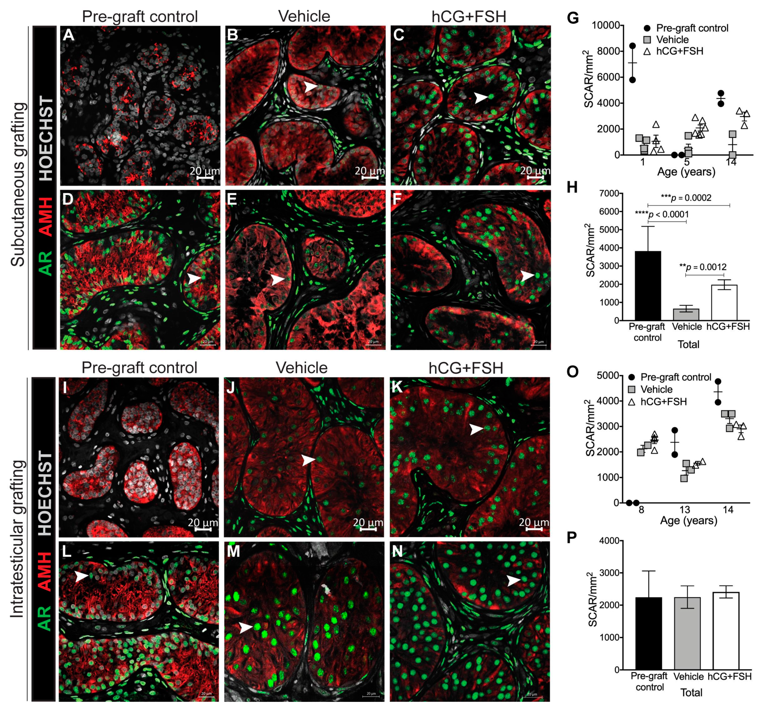 Cancers 12 02830 g004