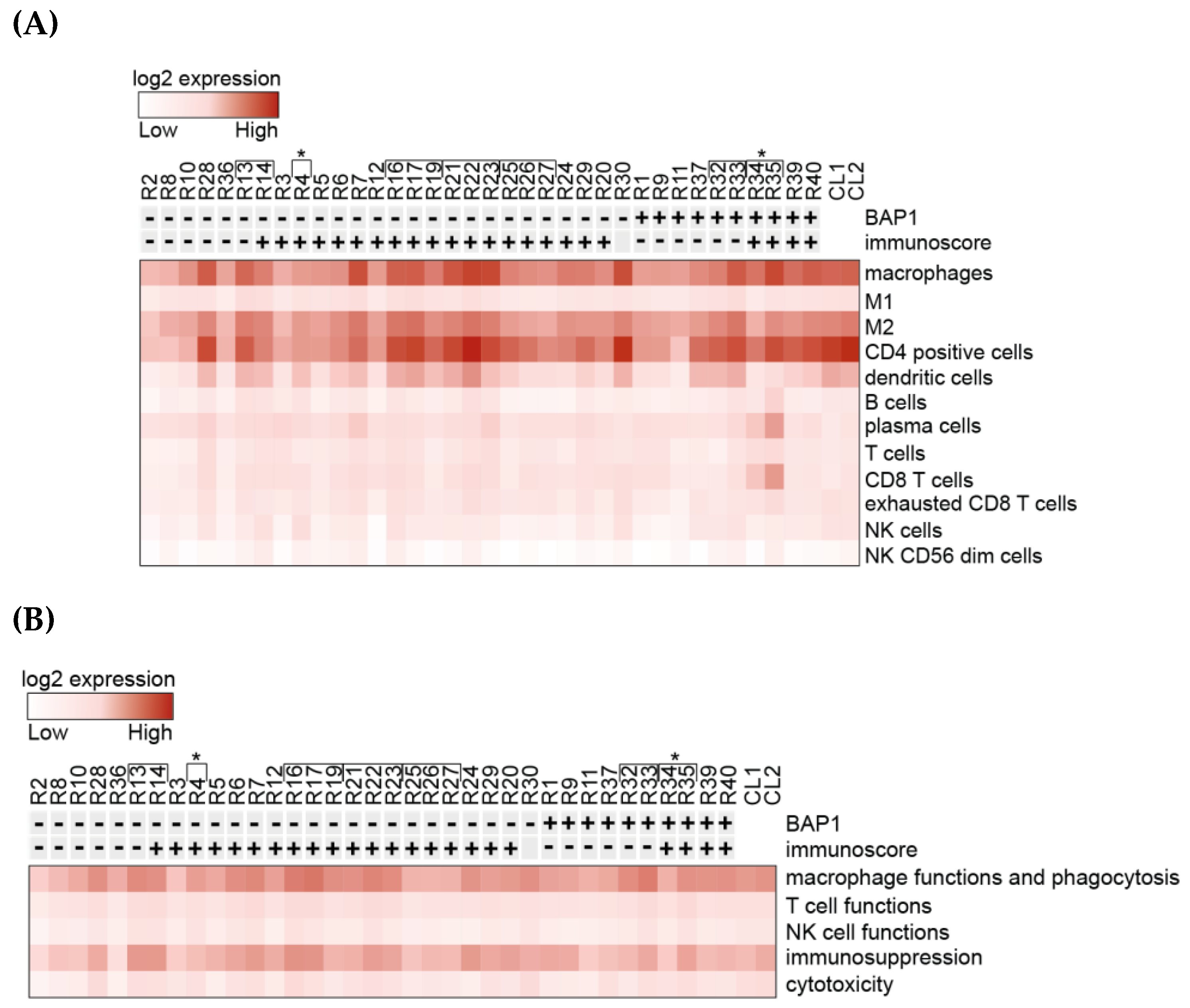 Cancers 12 02832 g001