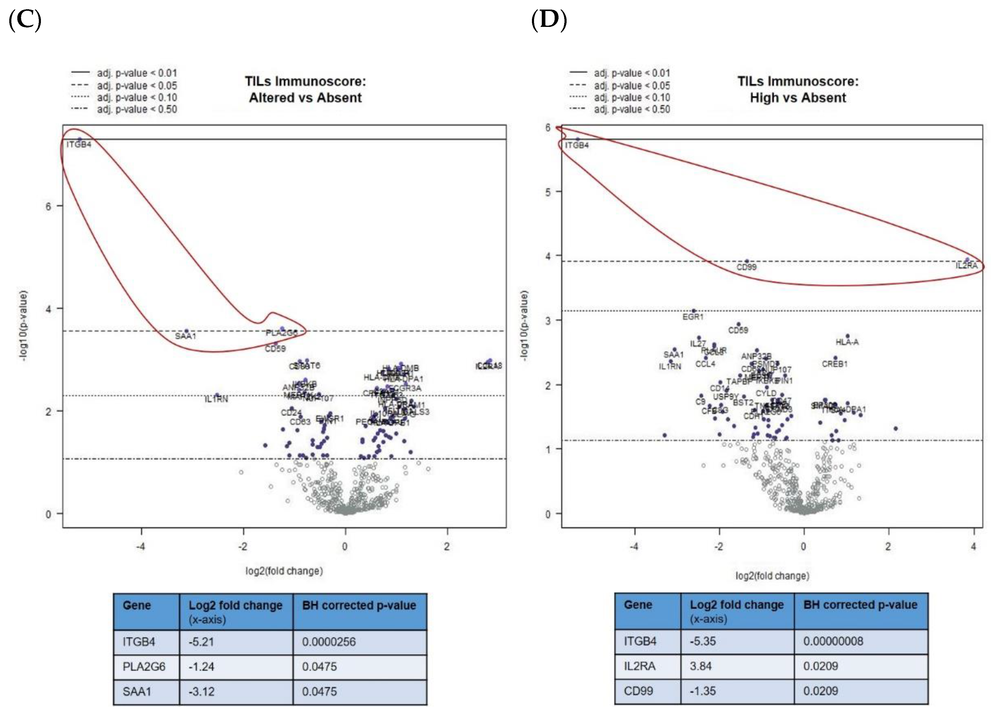 Cancers 12 02832 g002b