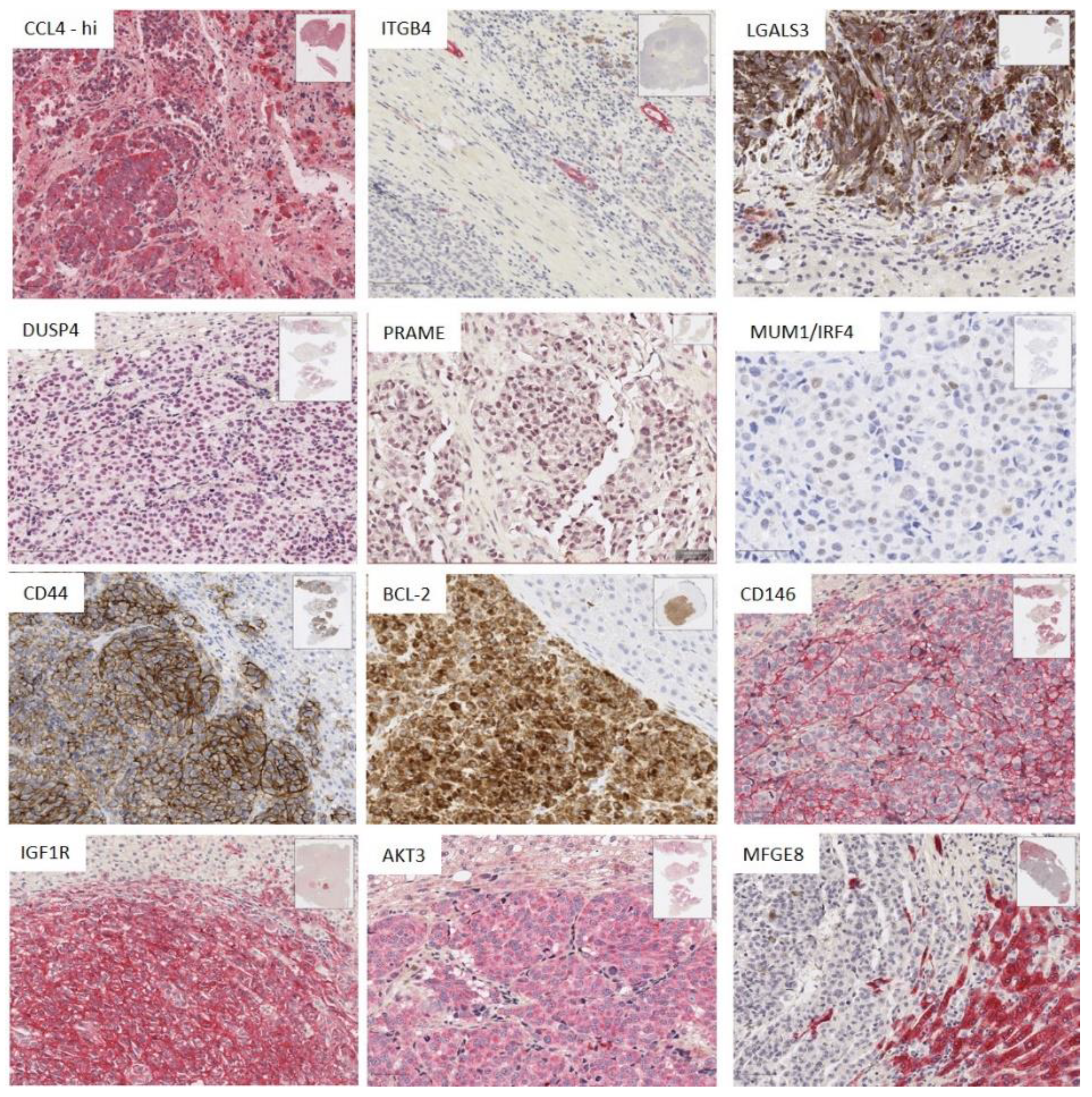 Cancers 12 02832 g005