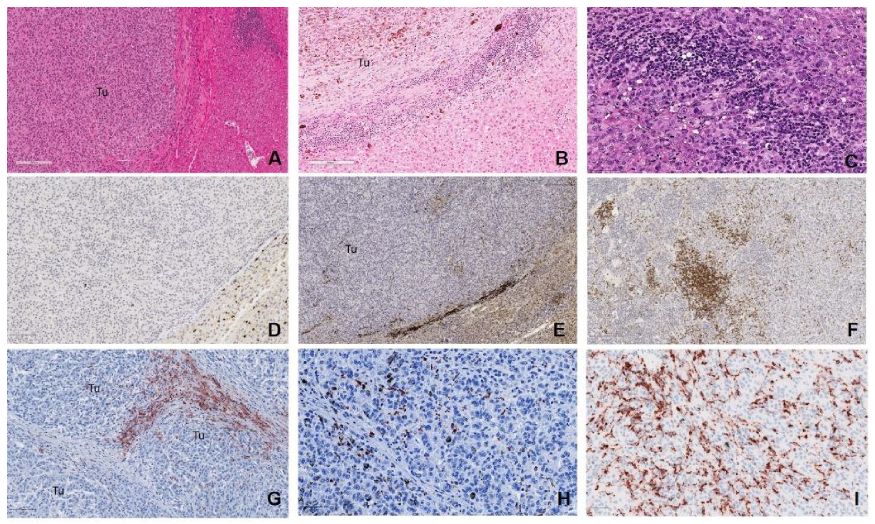 Cancers 12 02832 g006