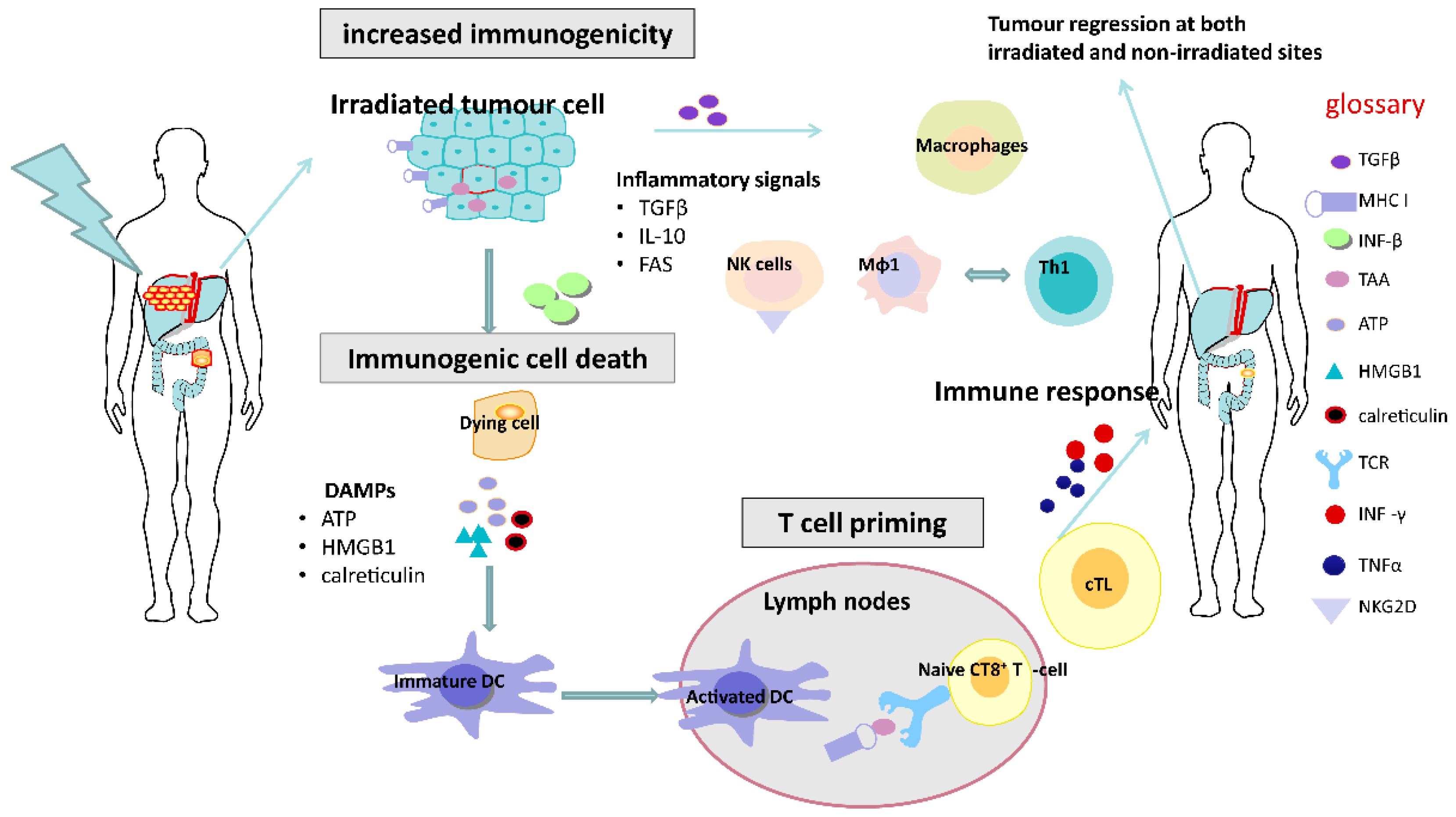 Cancers 12 02835 g001