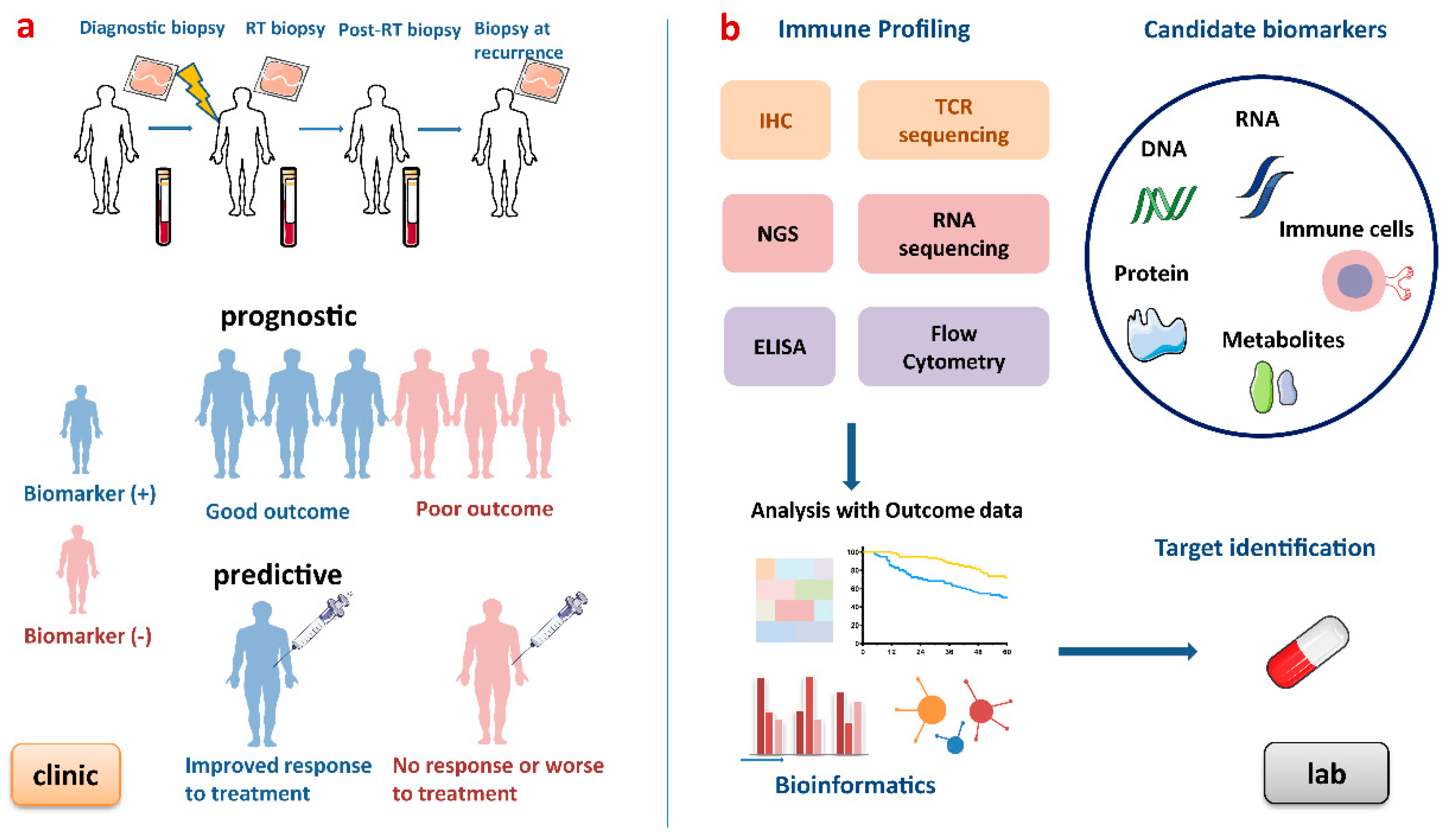 Cancers 12 02835 g003