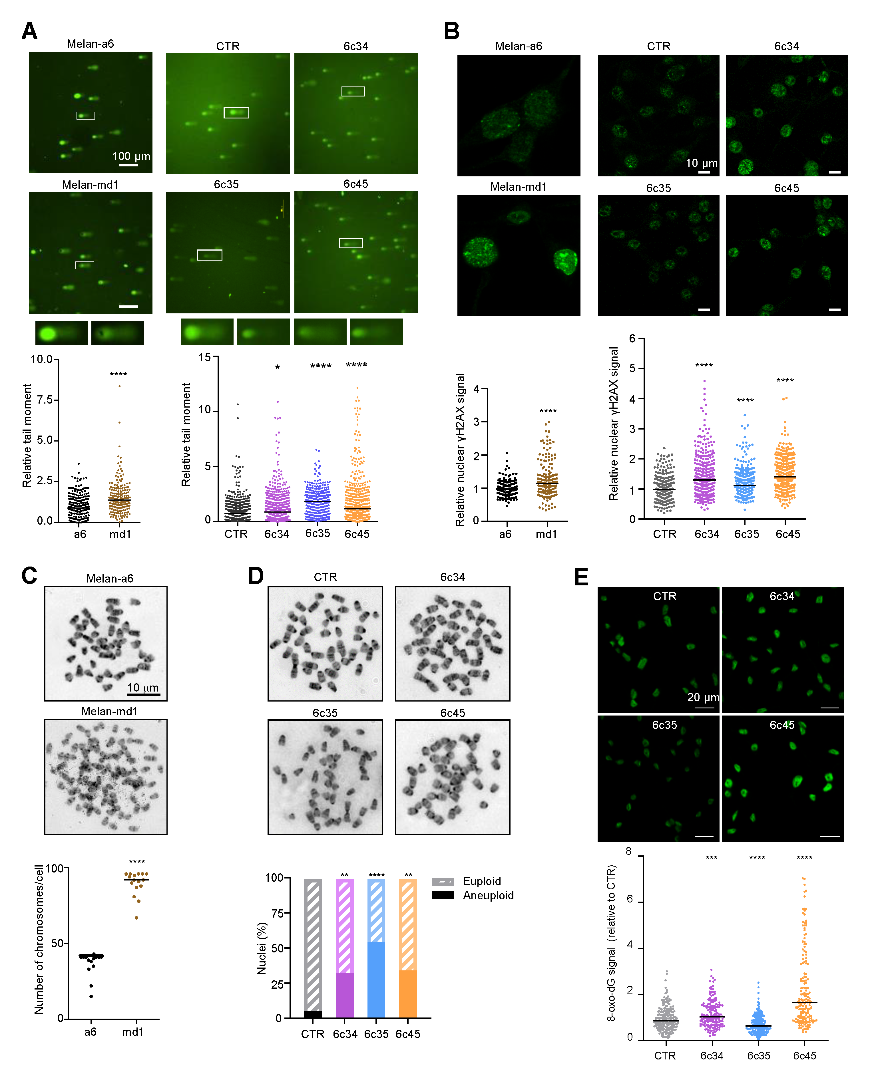 Cancers 12 02840 g005