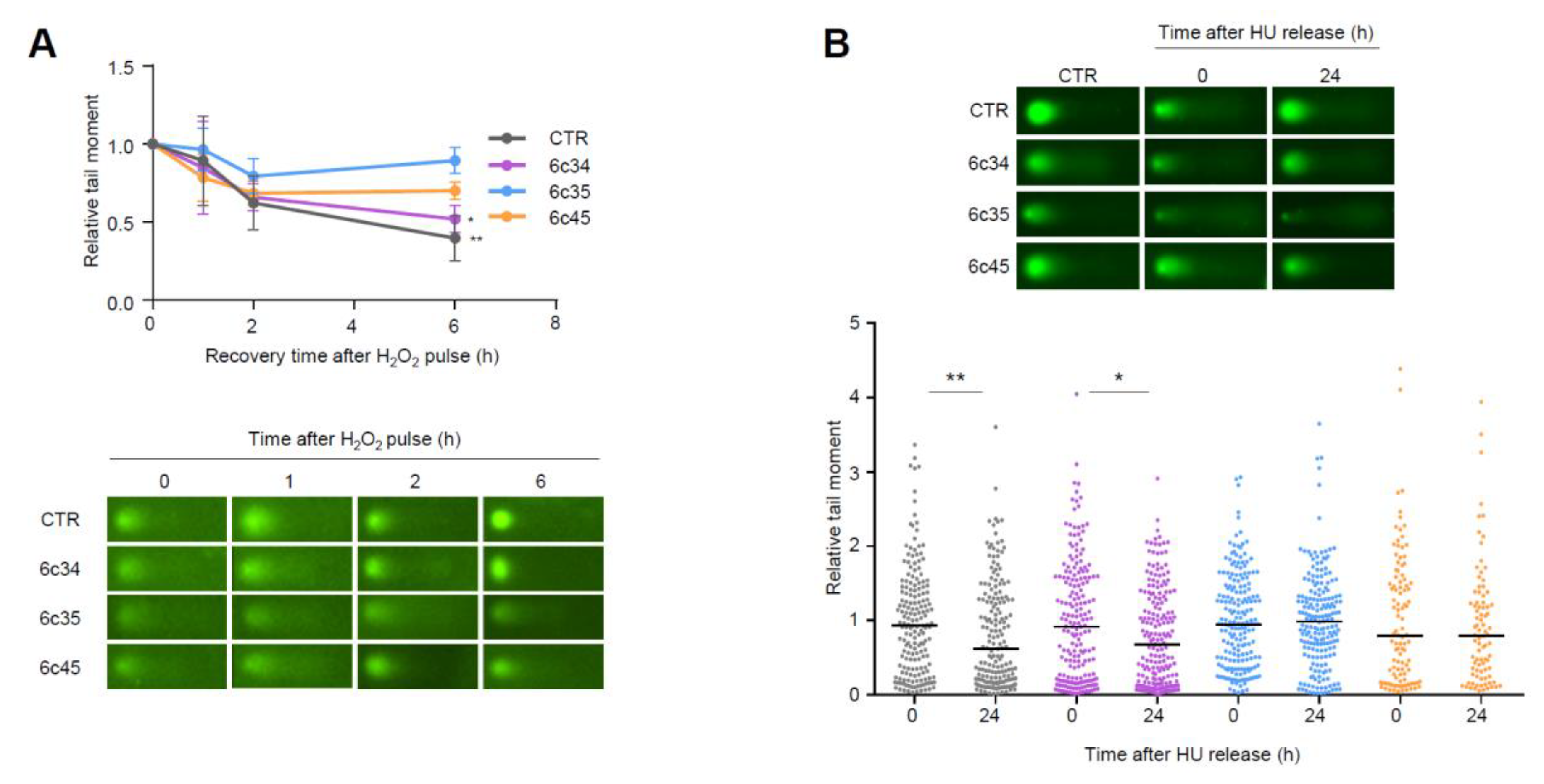 Cancers 12 02840 g006