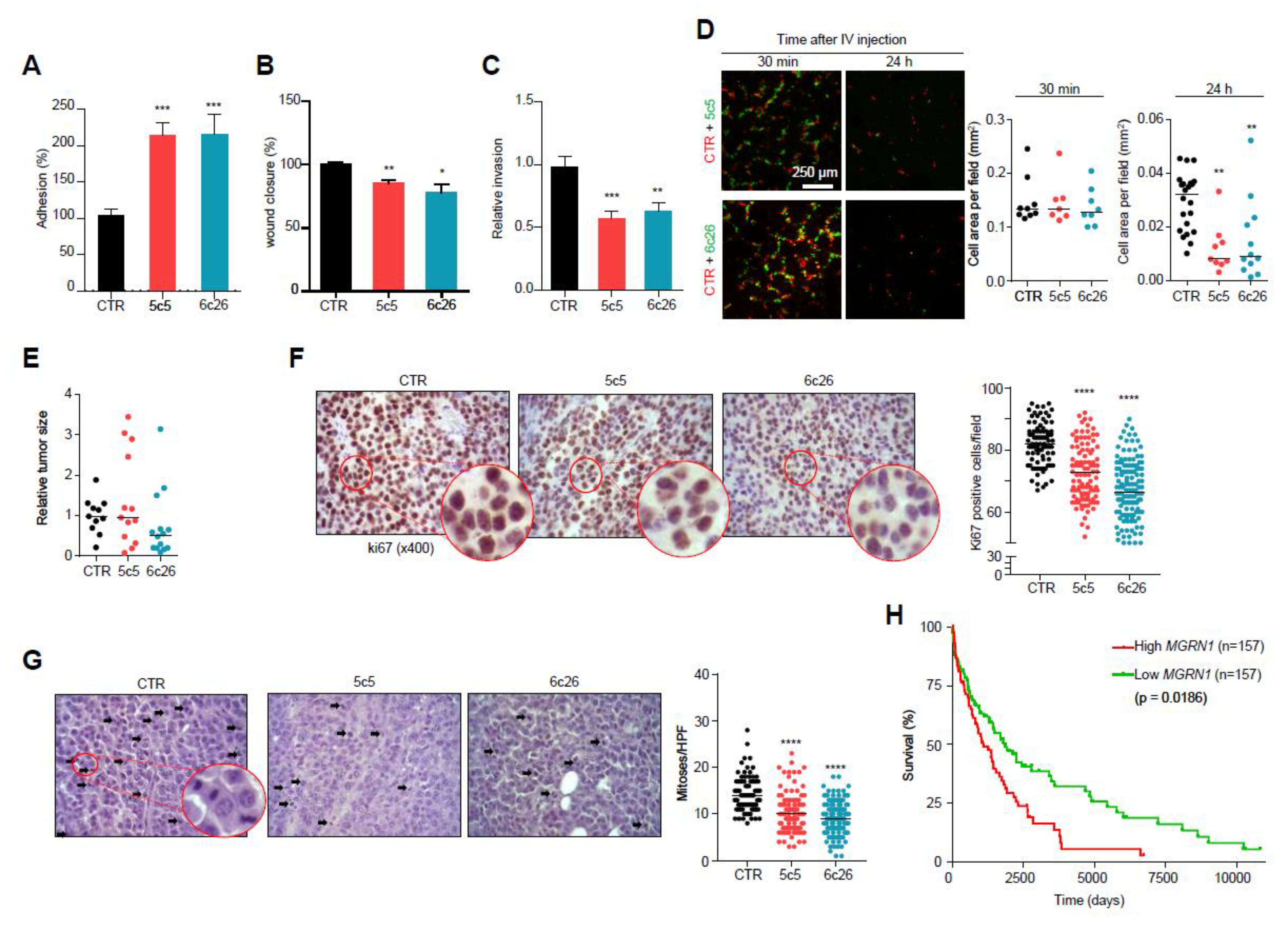 Cancers 12 02840 g007