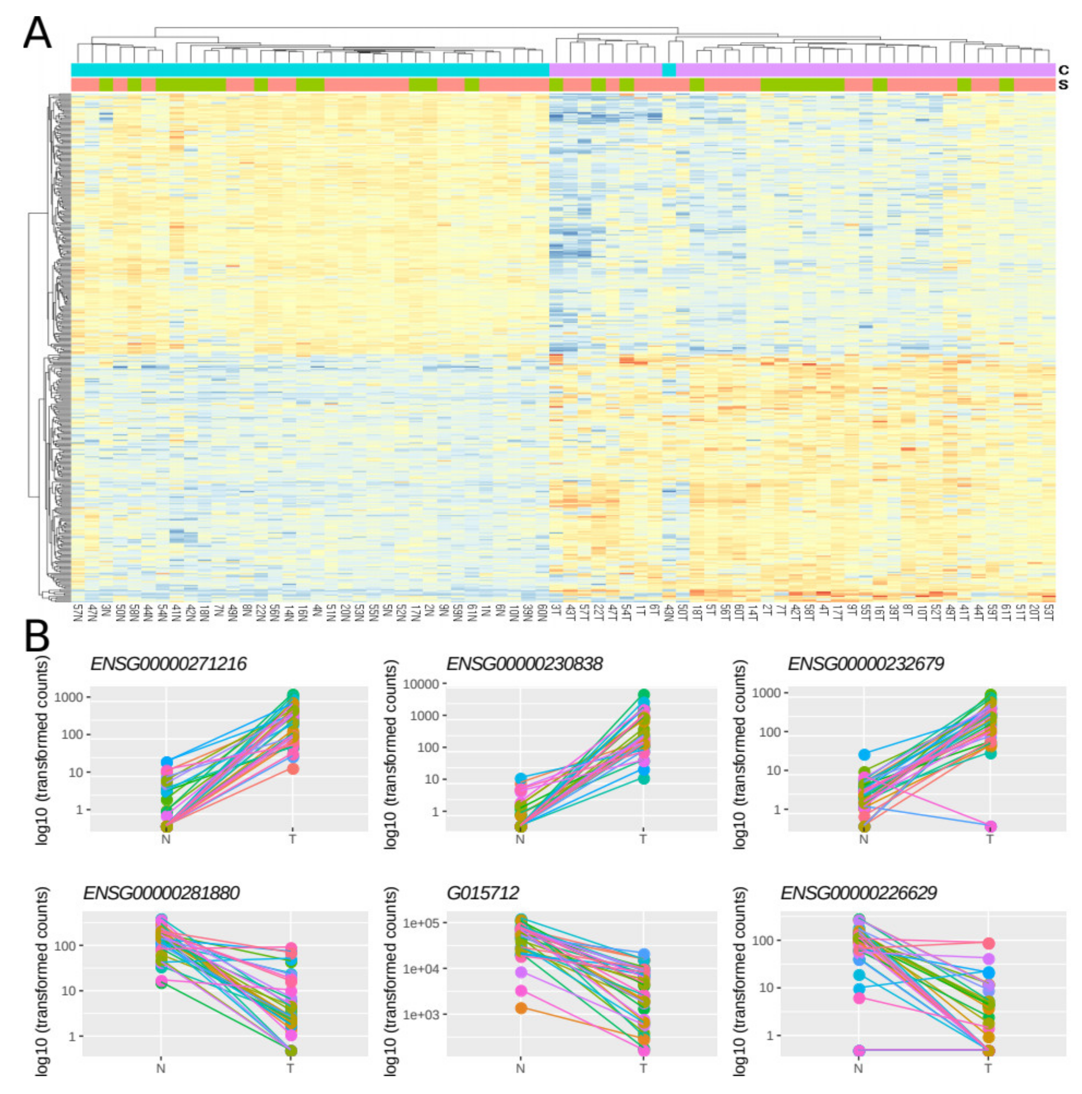 Cancers 12 02844 g004