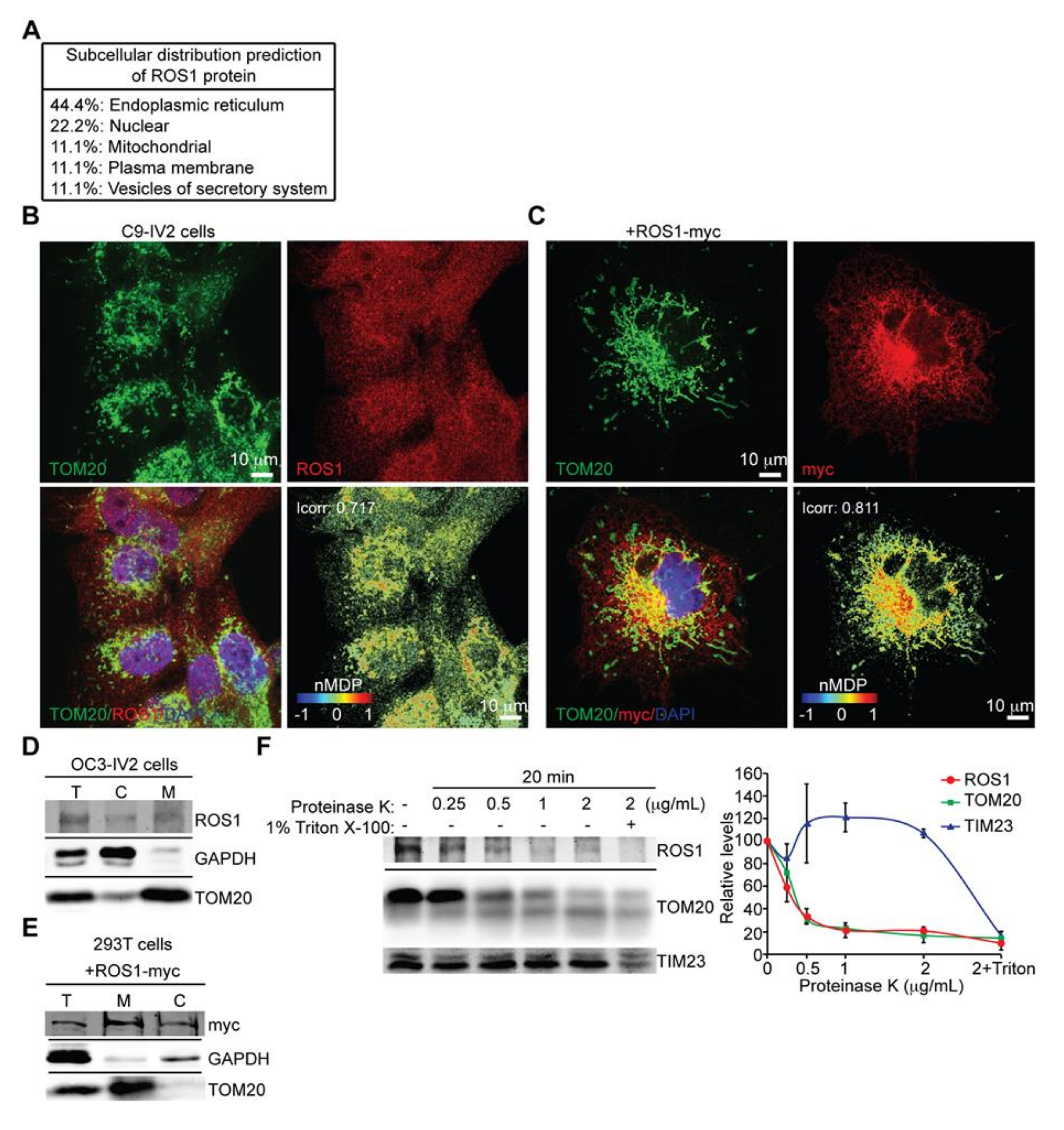 Cancers 12 02845 g001 Cancers 12 02845 g001