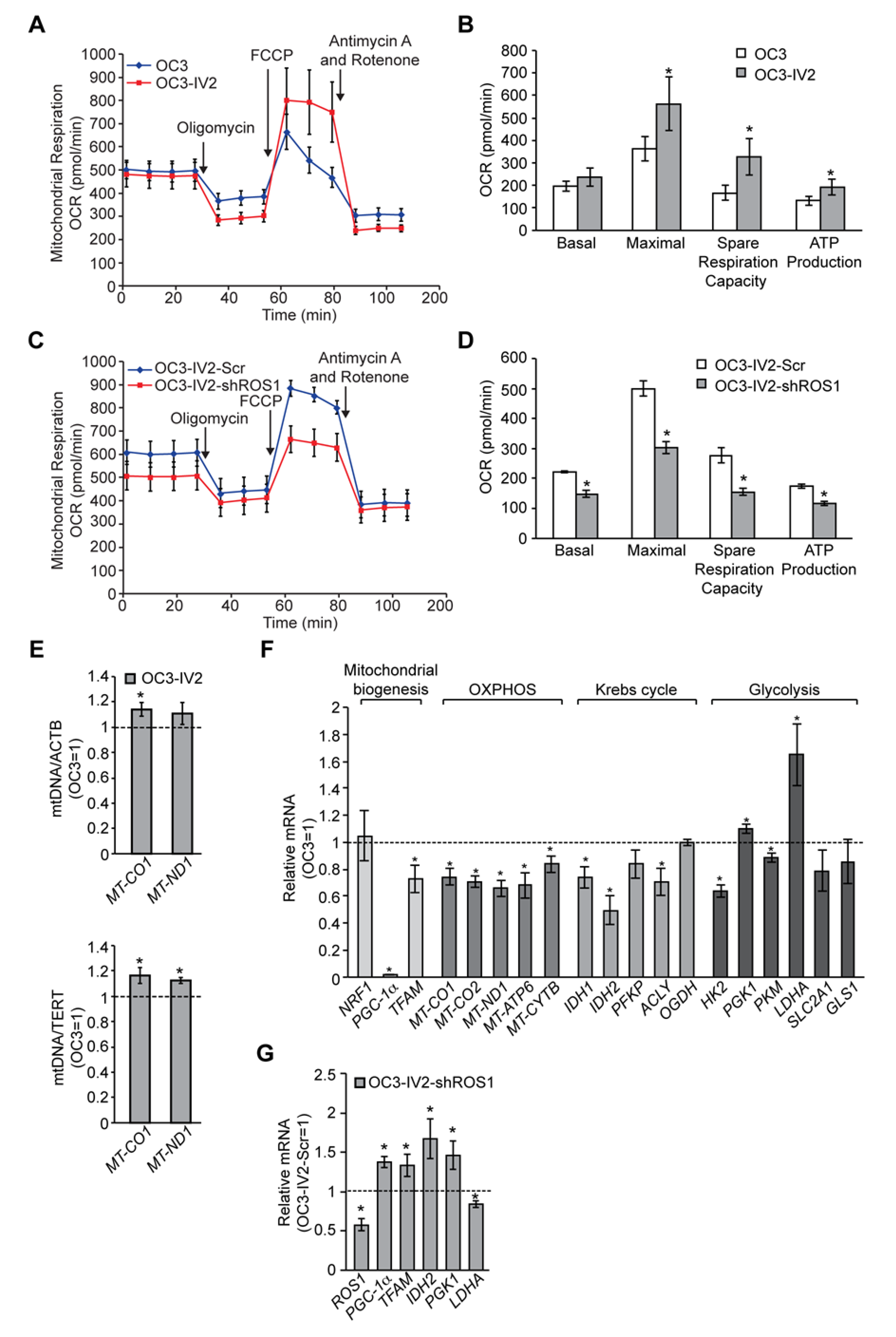 Cancers 12 02845 g007 Cancers 12 02845 g007