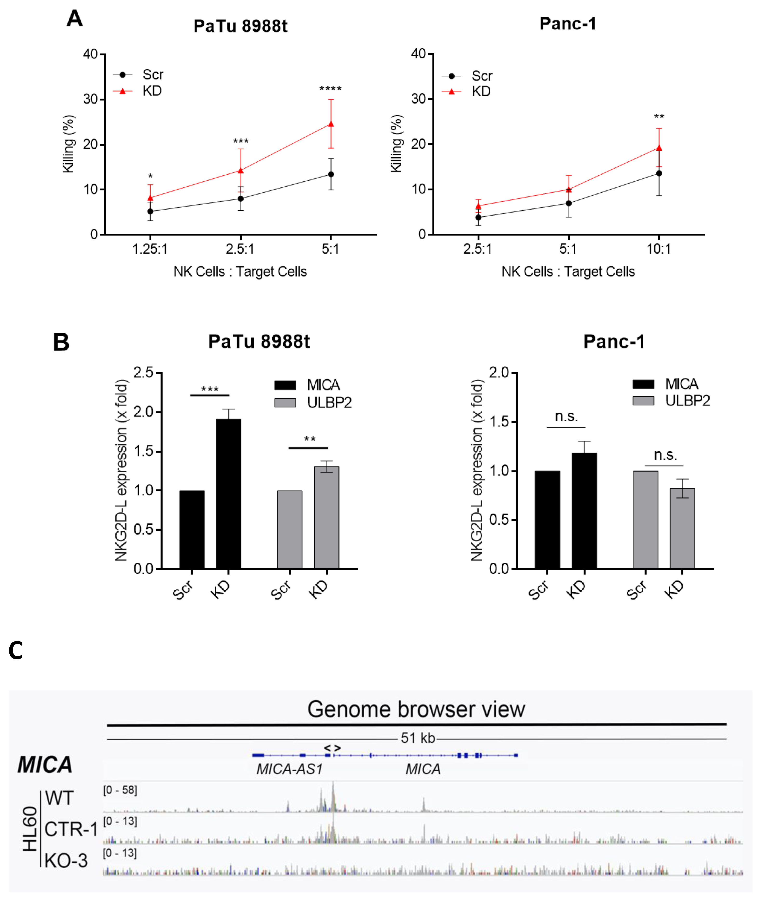 Cancers 12 02857 g003