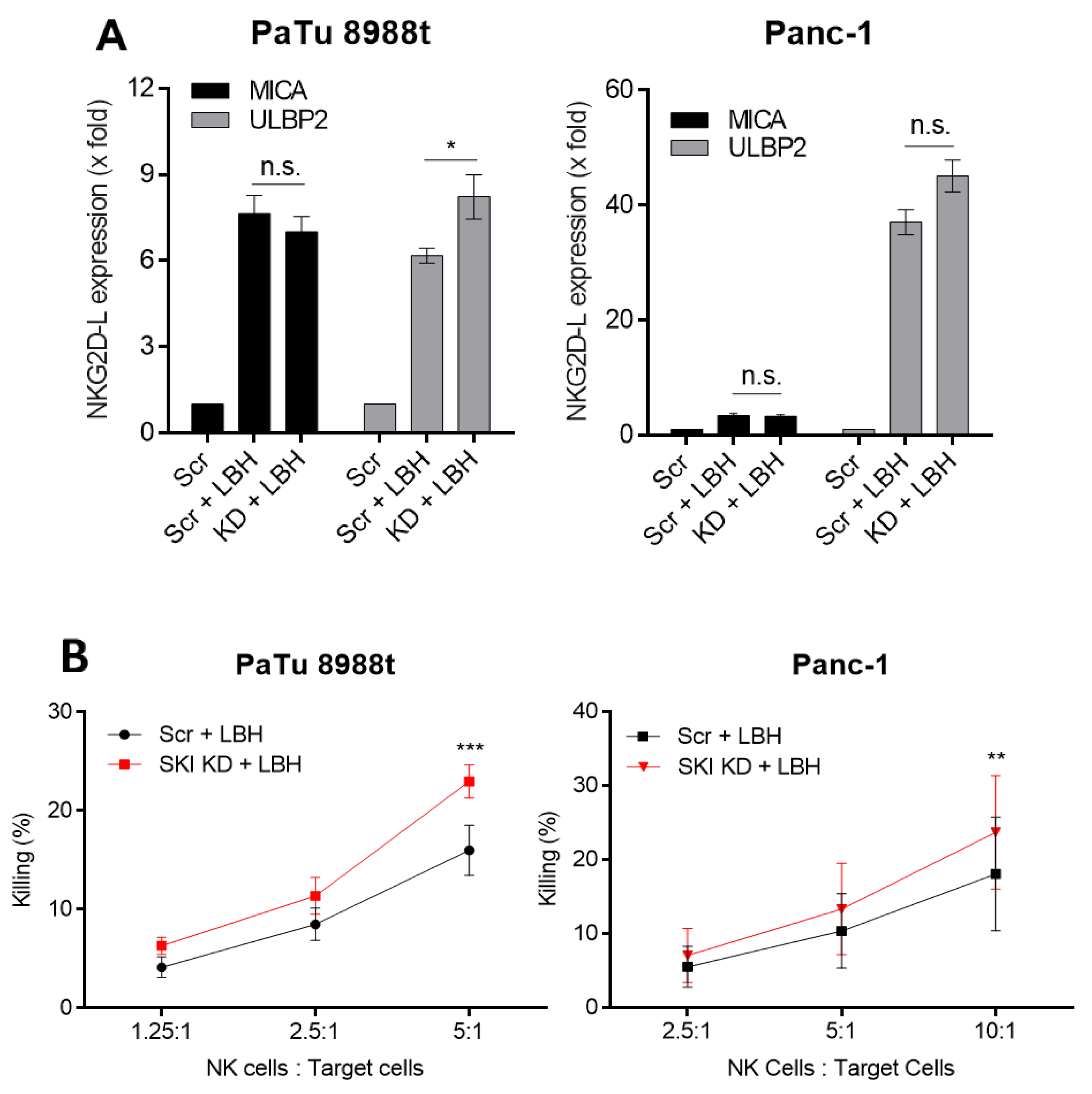 Cancers 12 02857 g004
