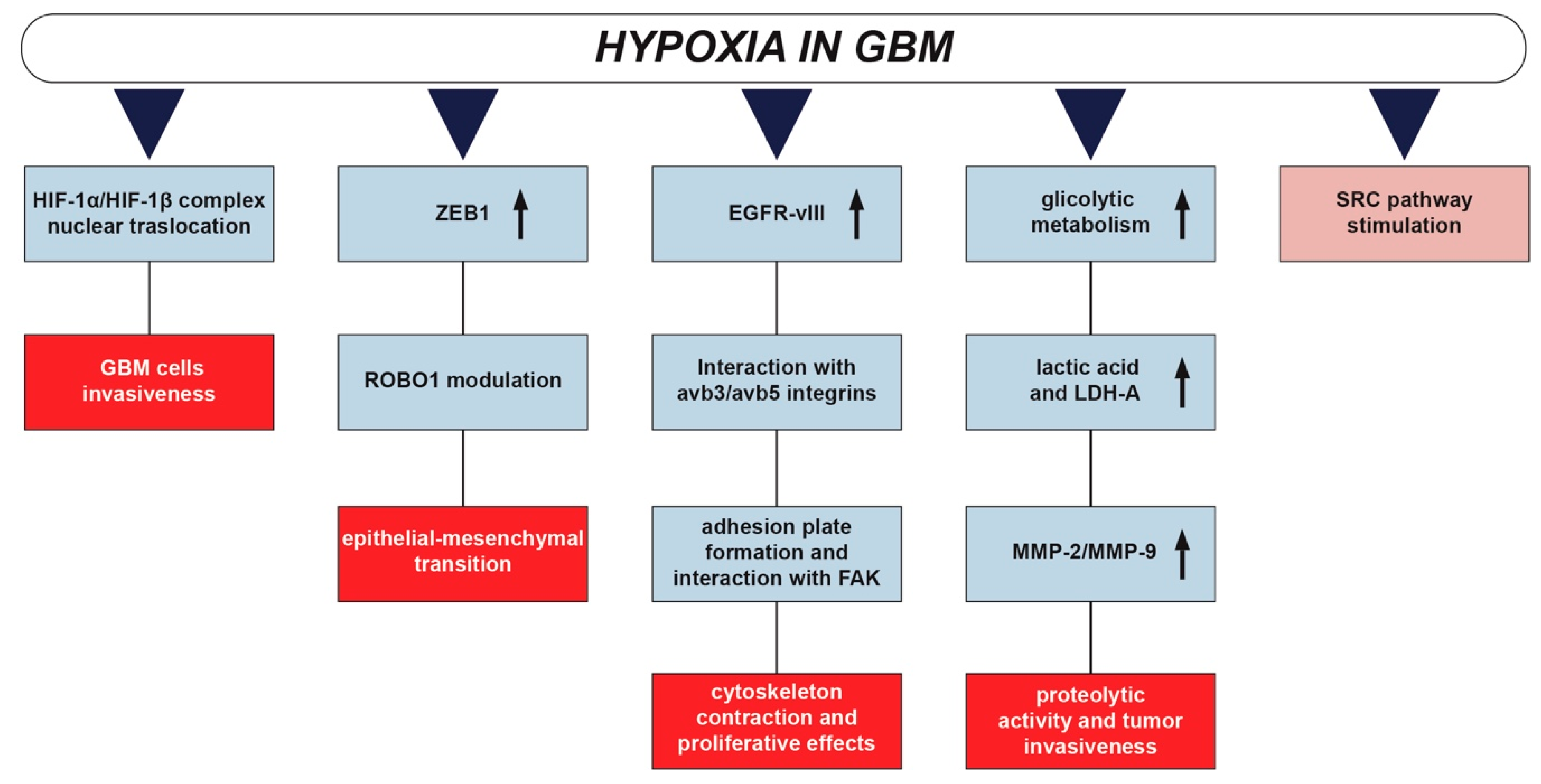 Cancers 12 02860 g003