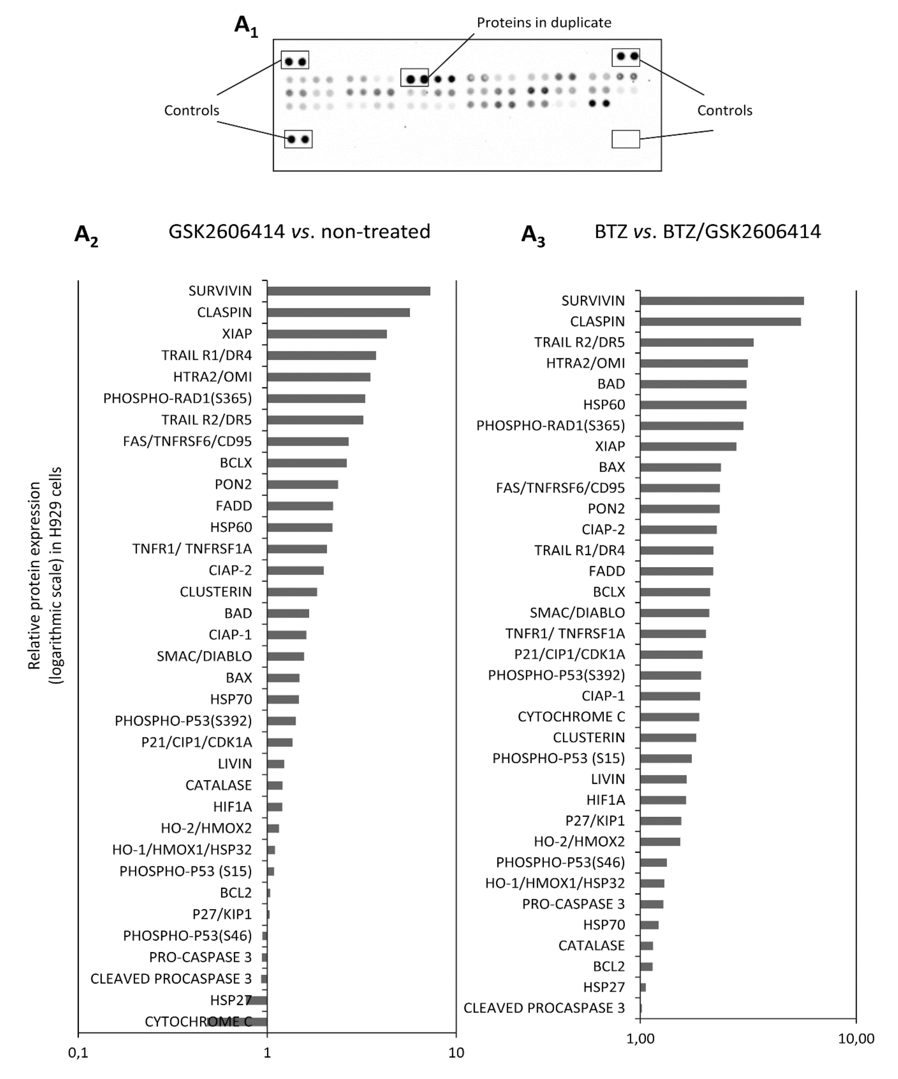 Cancers 12 02864 g007