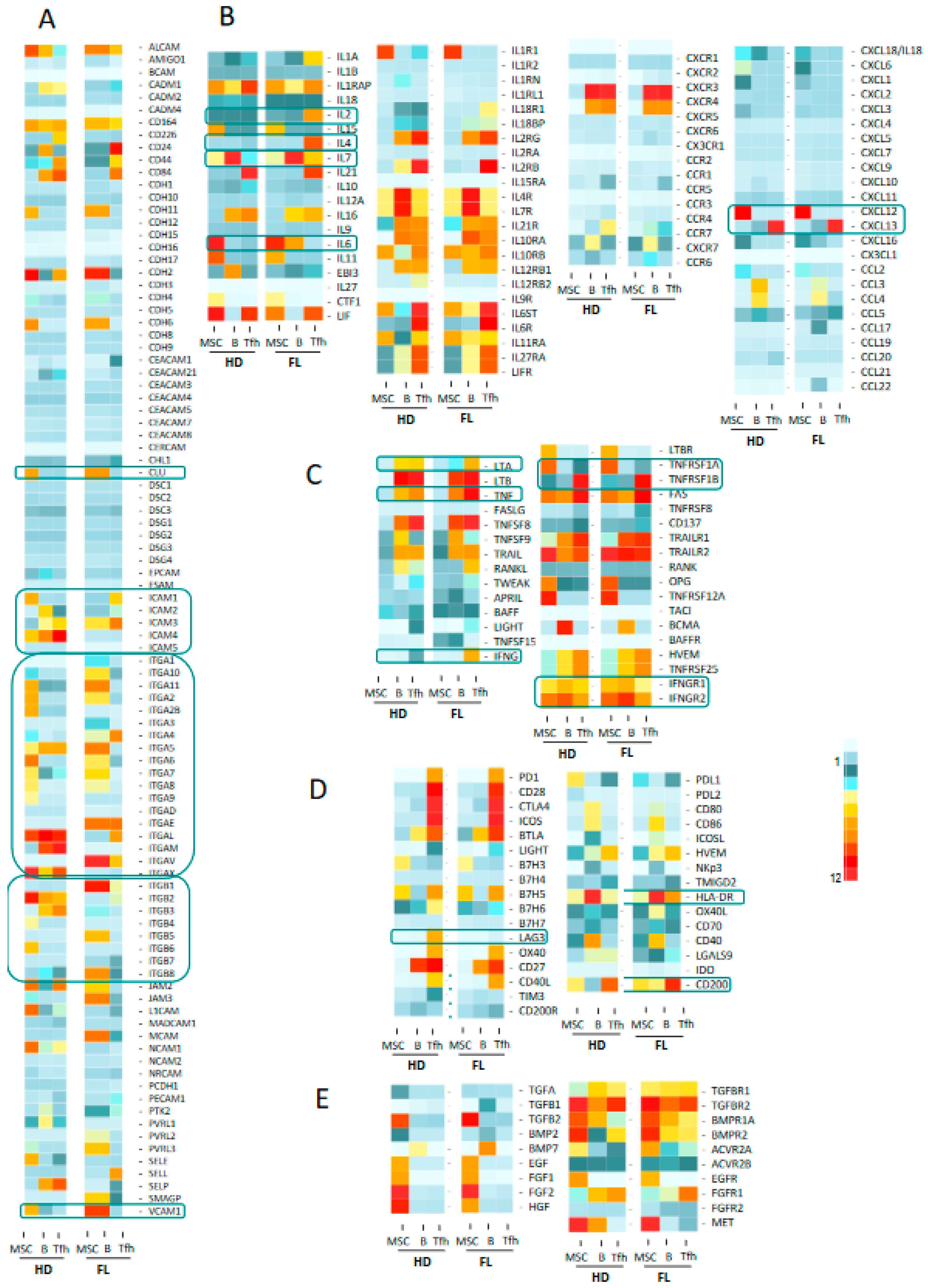 Cancers 12 02865 g003