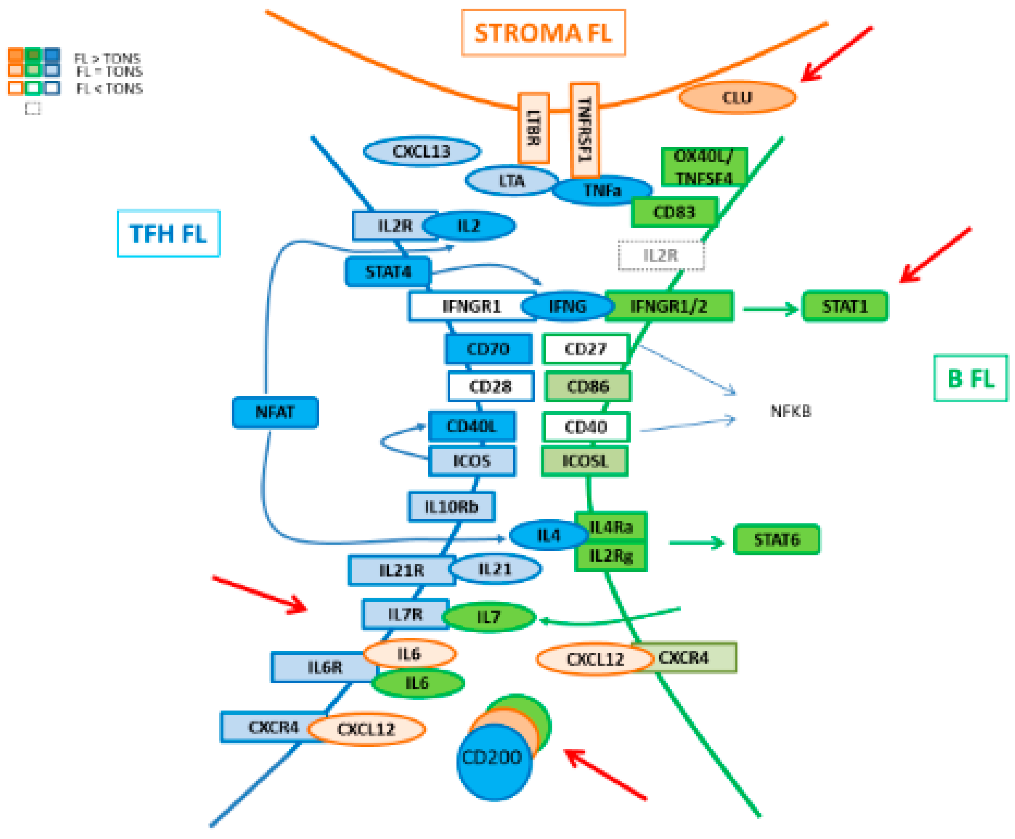 Cancers 12 02865 g008
