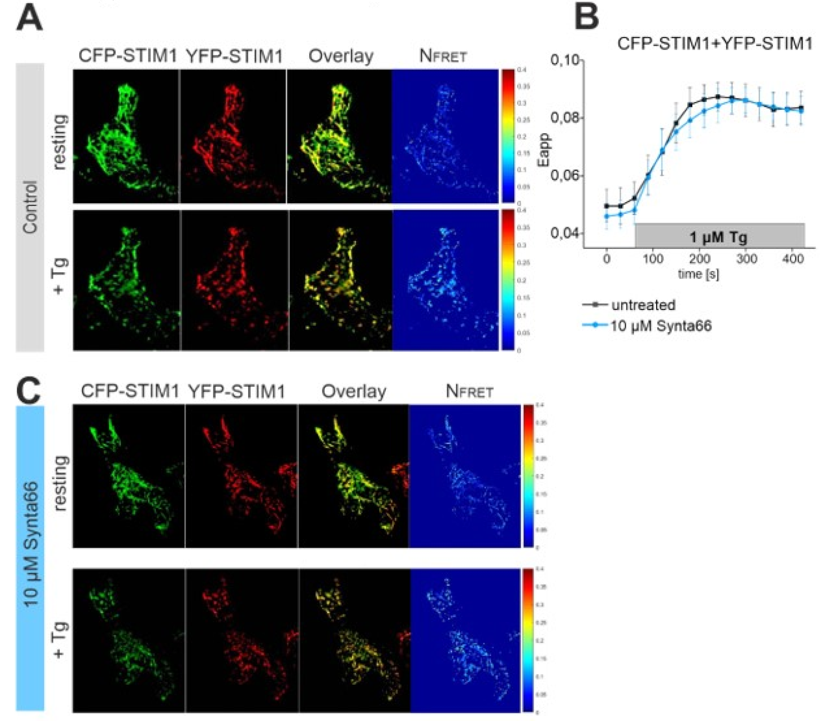 Cancers 12 02876 g004
