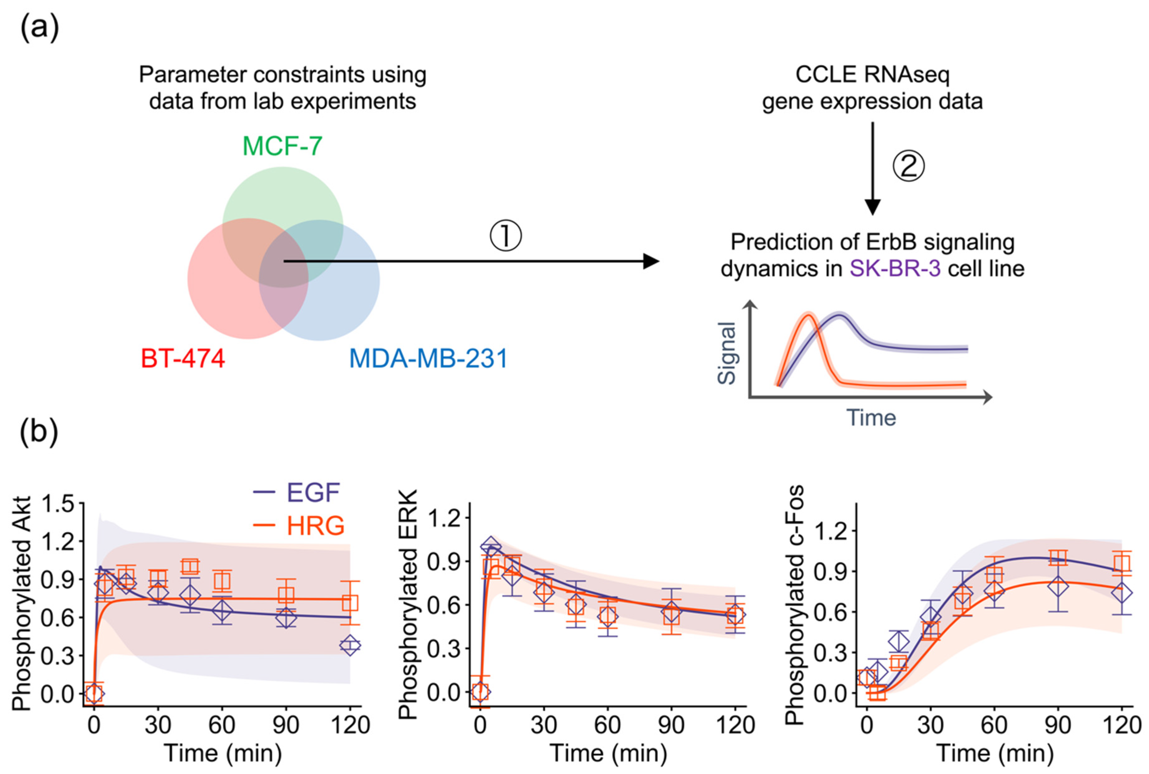 Cancers 12 02878 g004