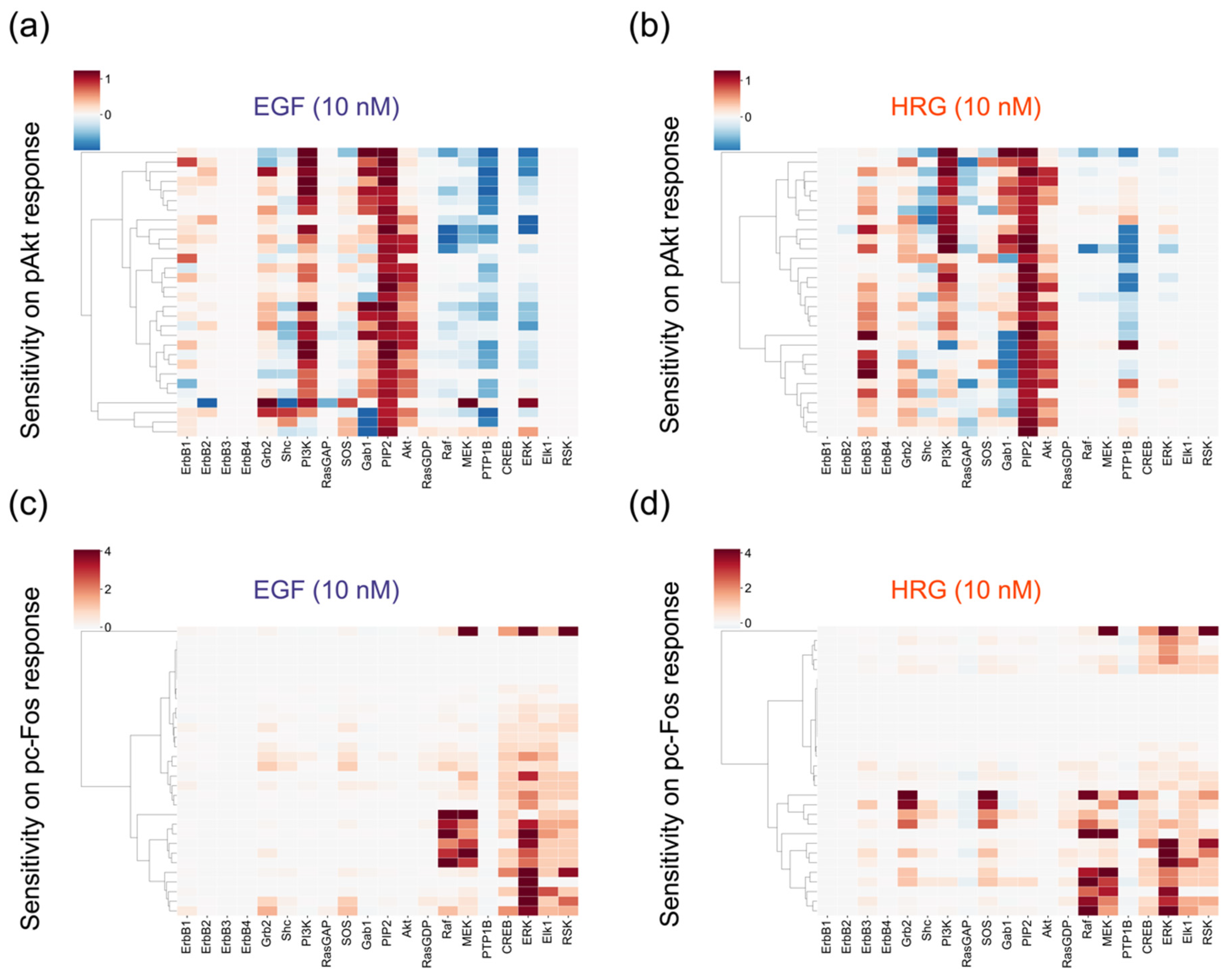 Cancers 12 02878 g005