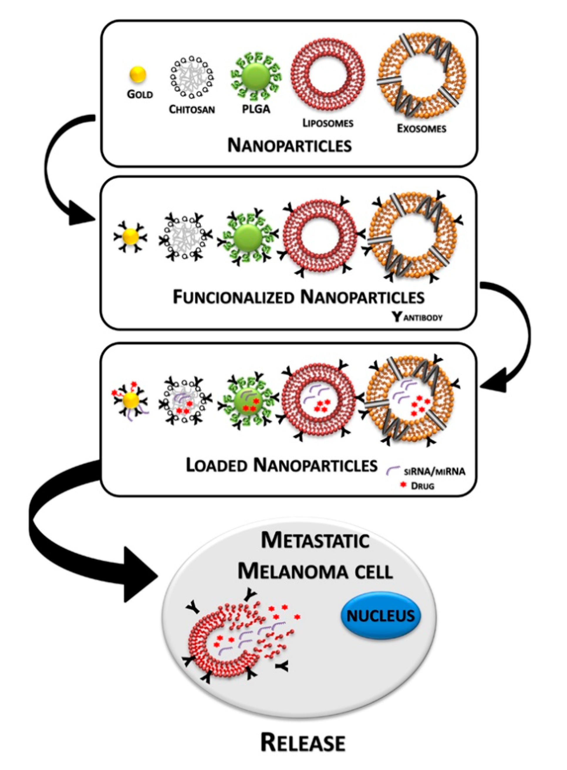 Cancers 12 02893 g001