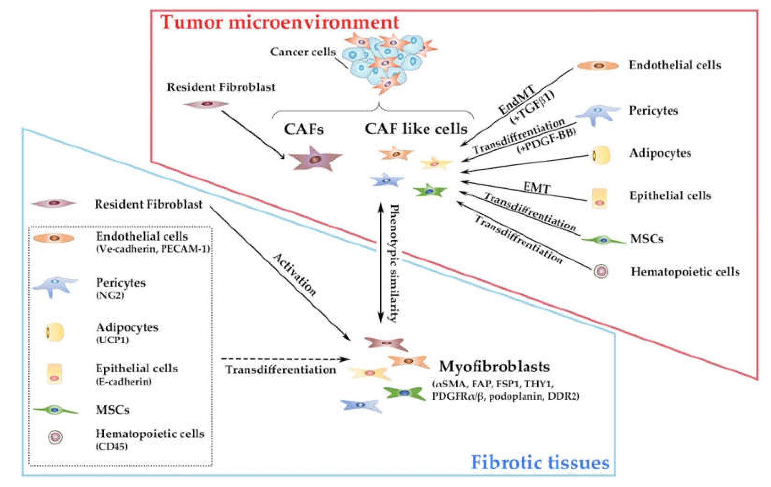 Cancers 12 02896 g001