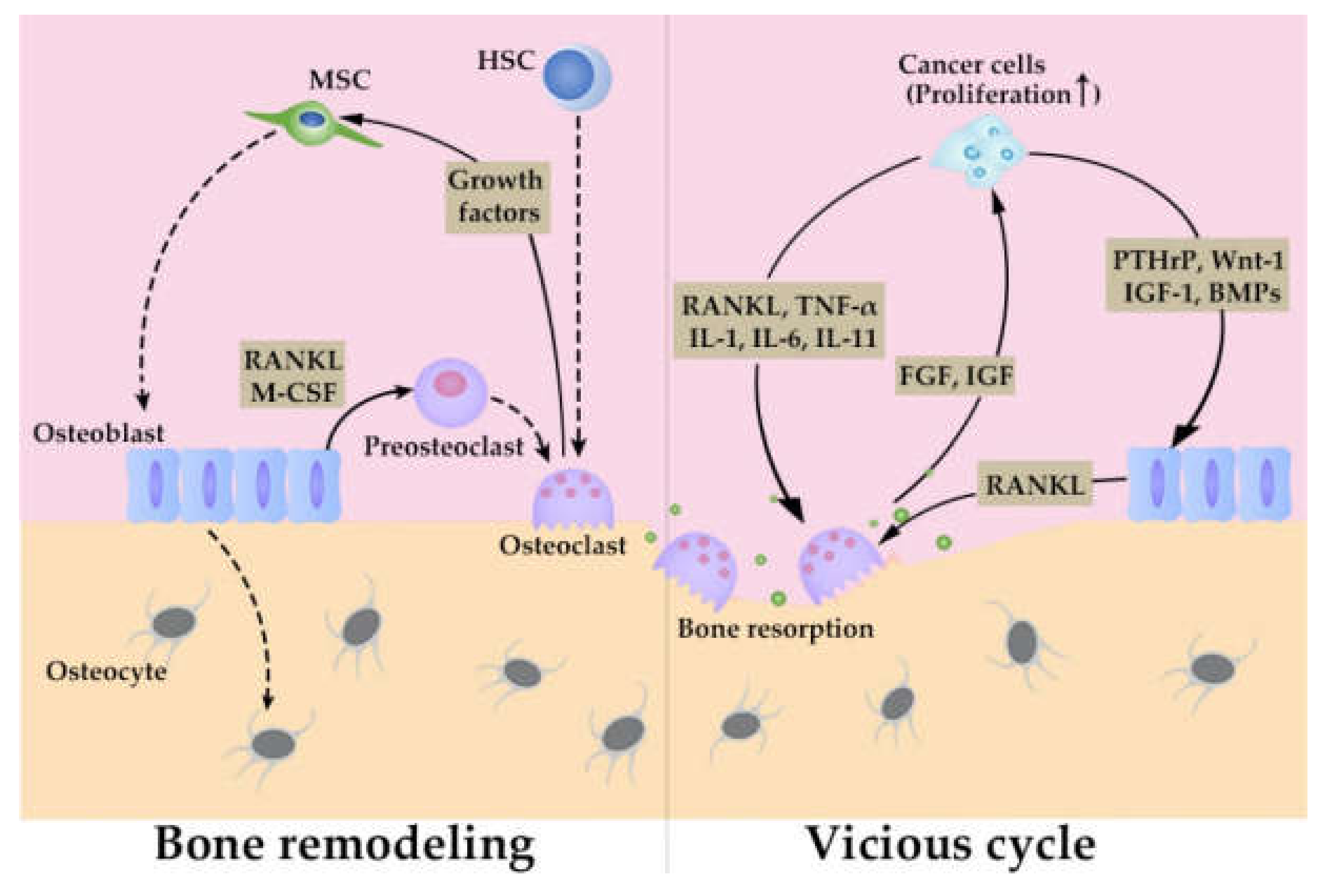 Cancers 12 02896 g002