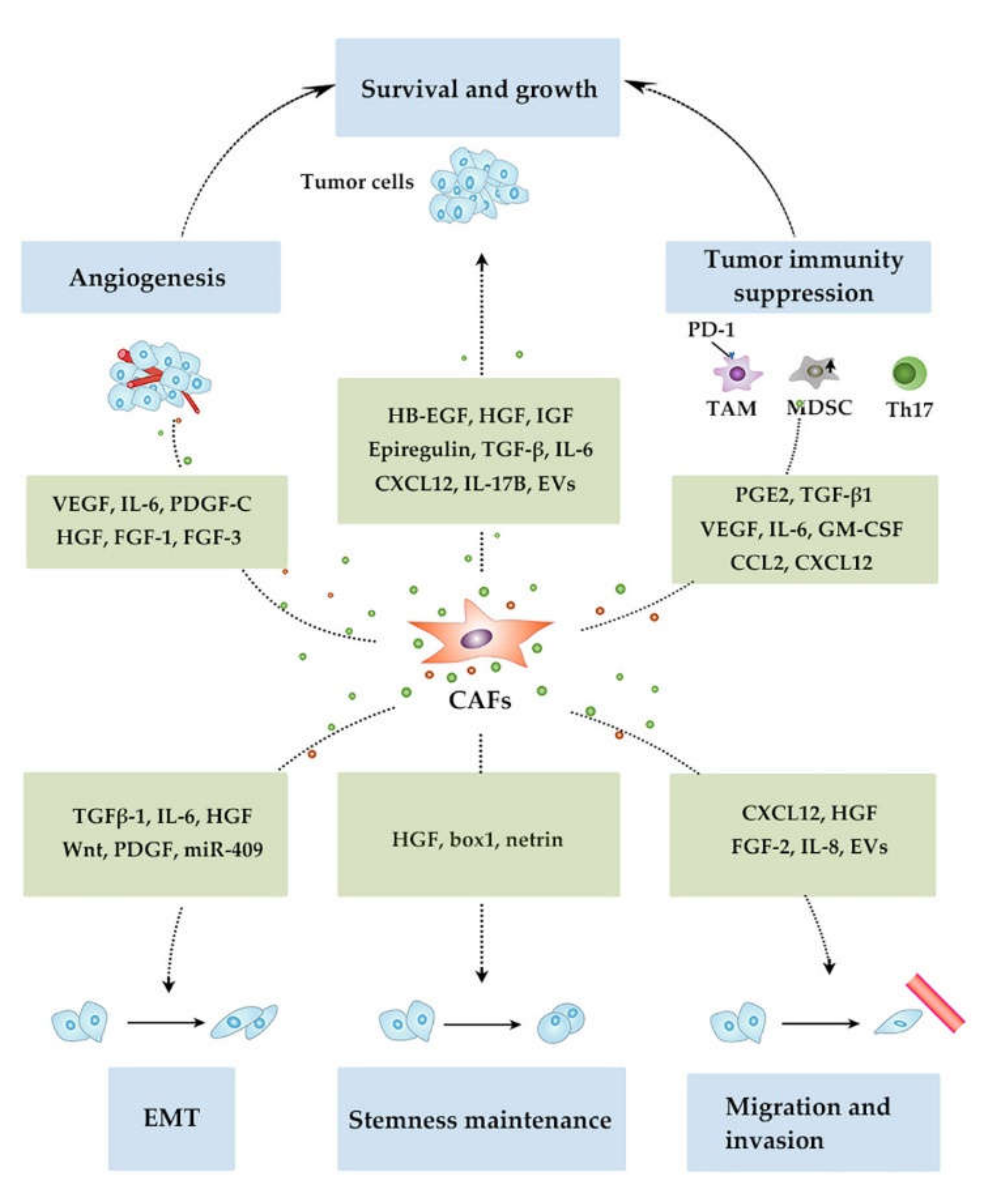 Cancers 12 02896 g003