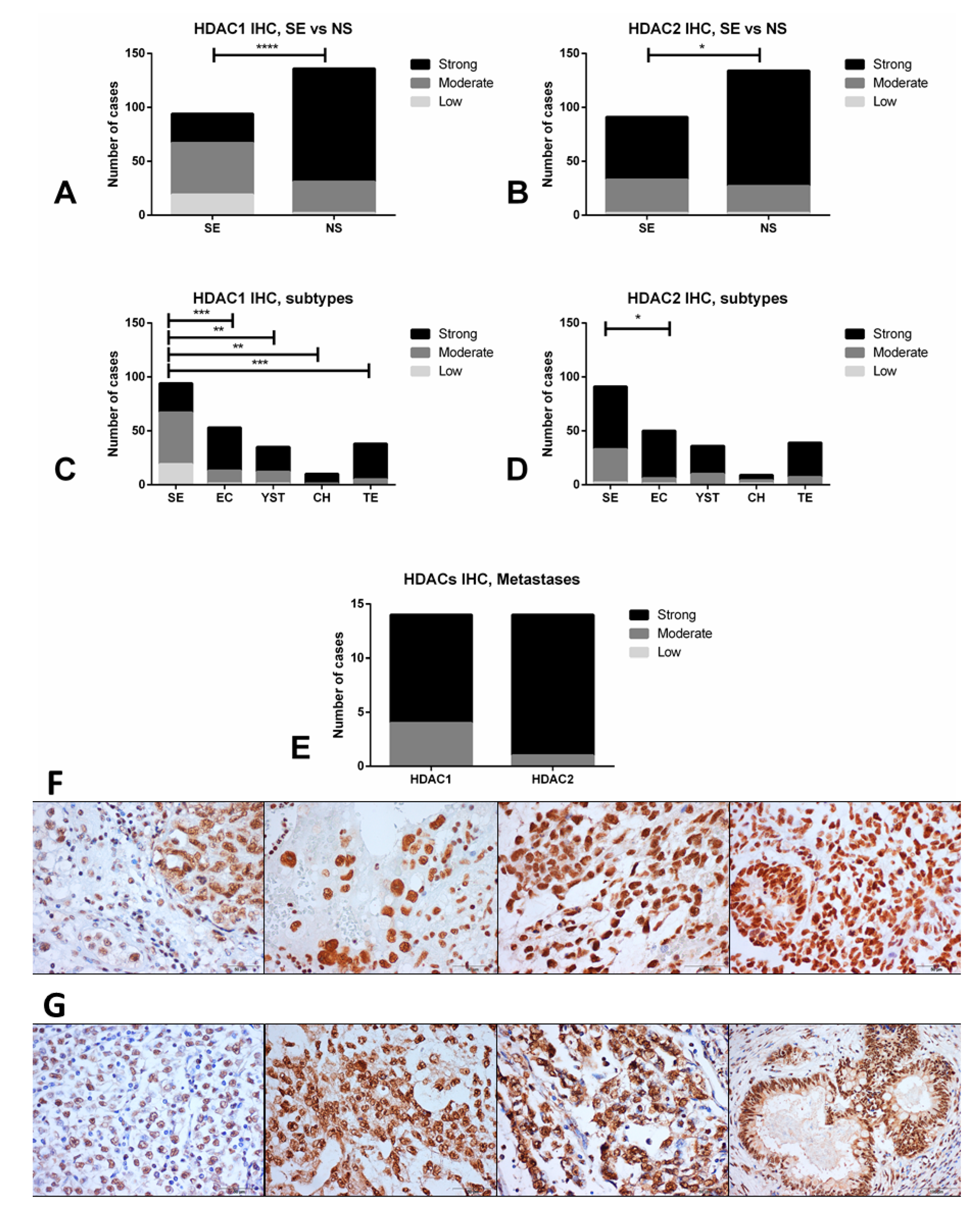Cancers 12 02903 g002 Cancers 12 02903 g002