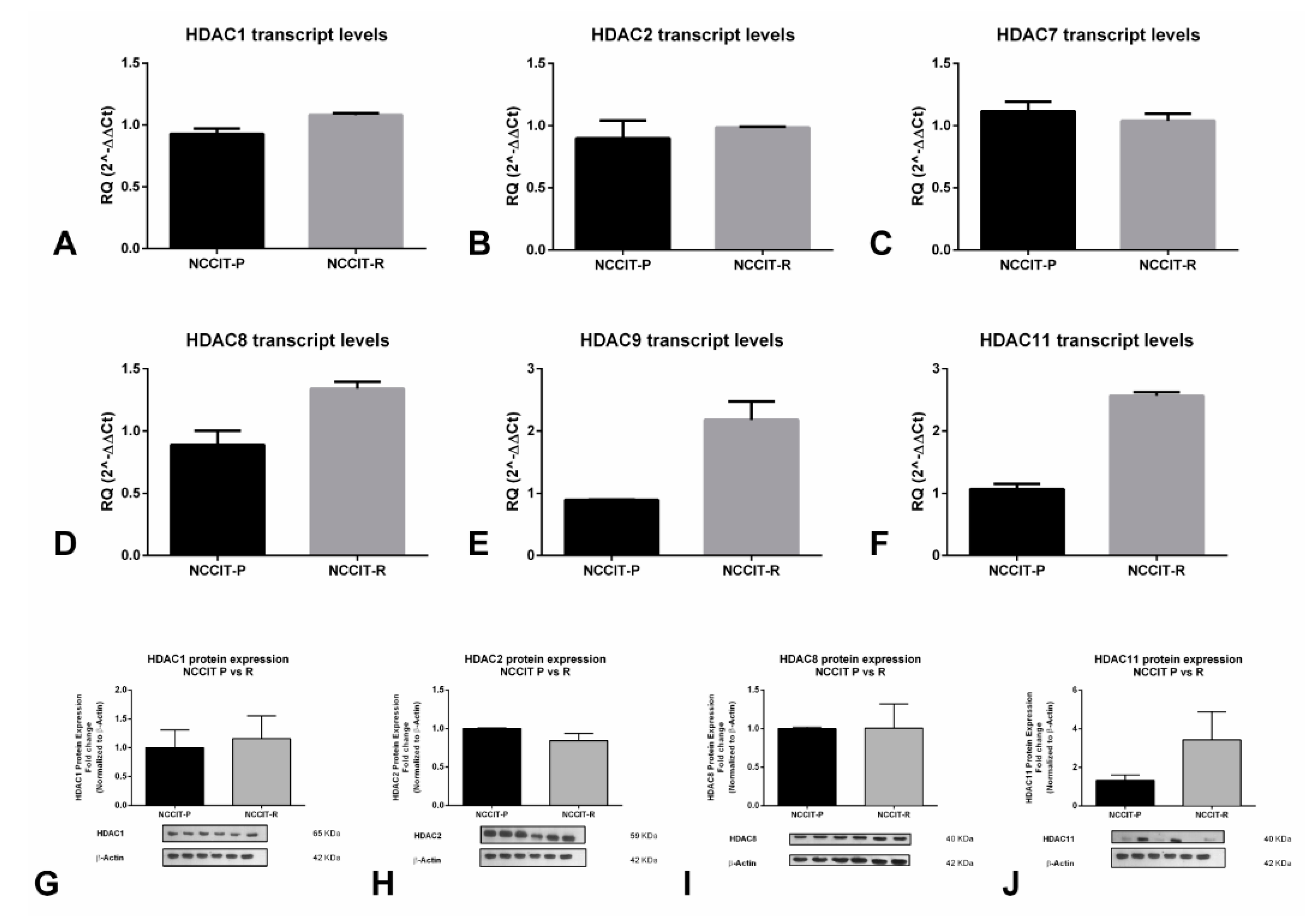 Cancers 12 02903 g003 Cancers 12 02903 g003