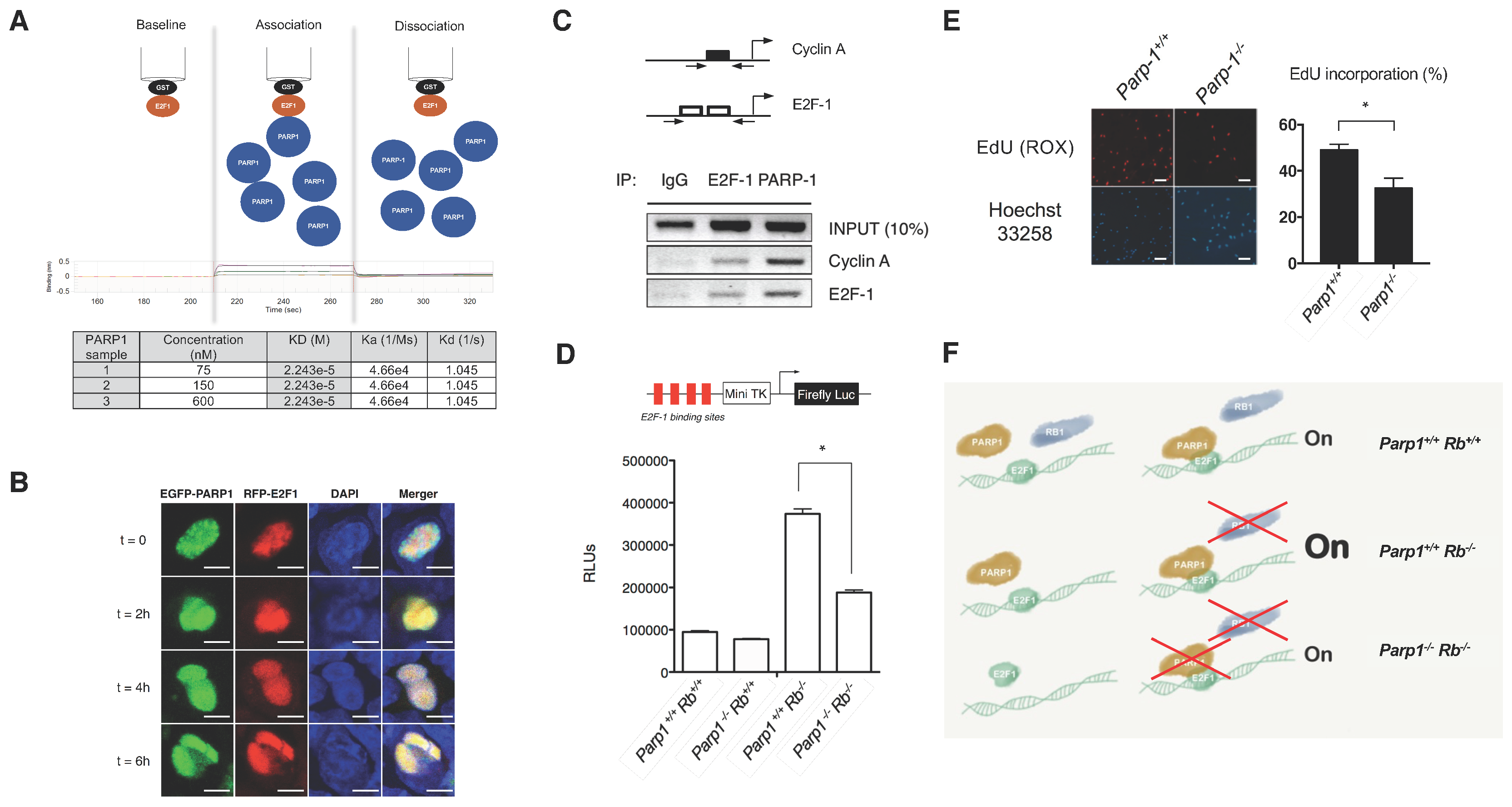 Cancers 12 02907 g004 Cancers 12 02907 g004