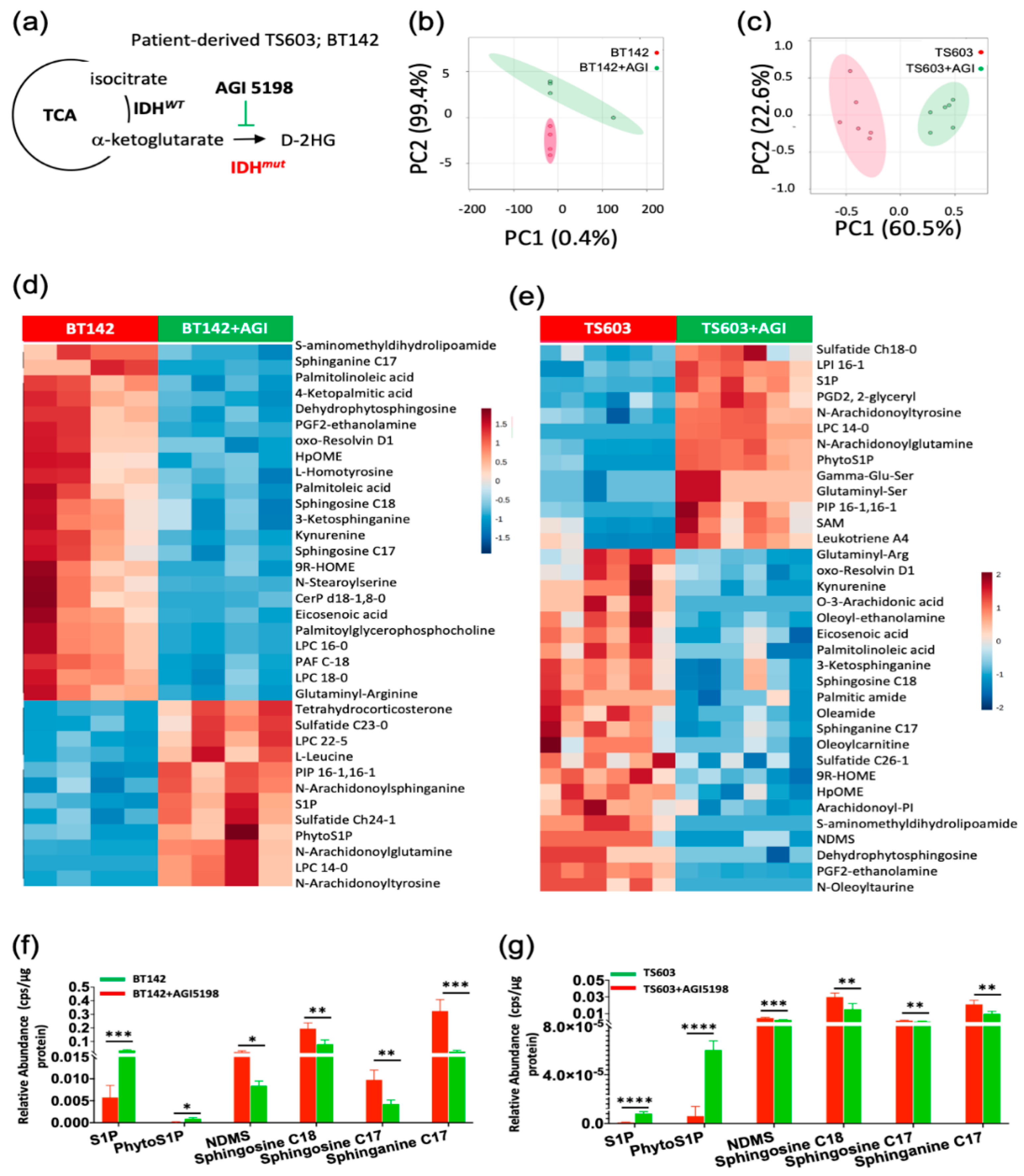 Cancers 12 02910 g001