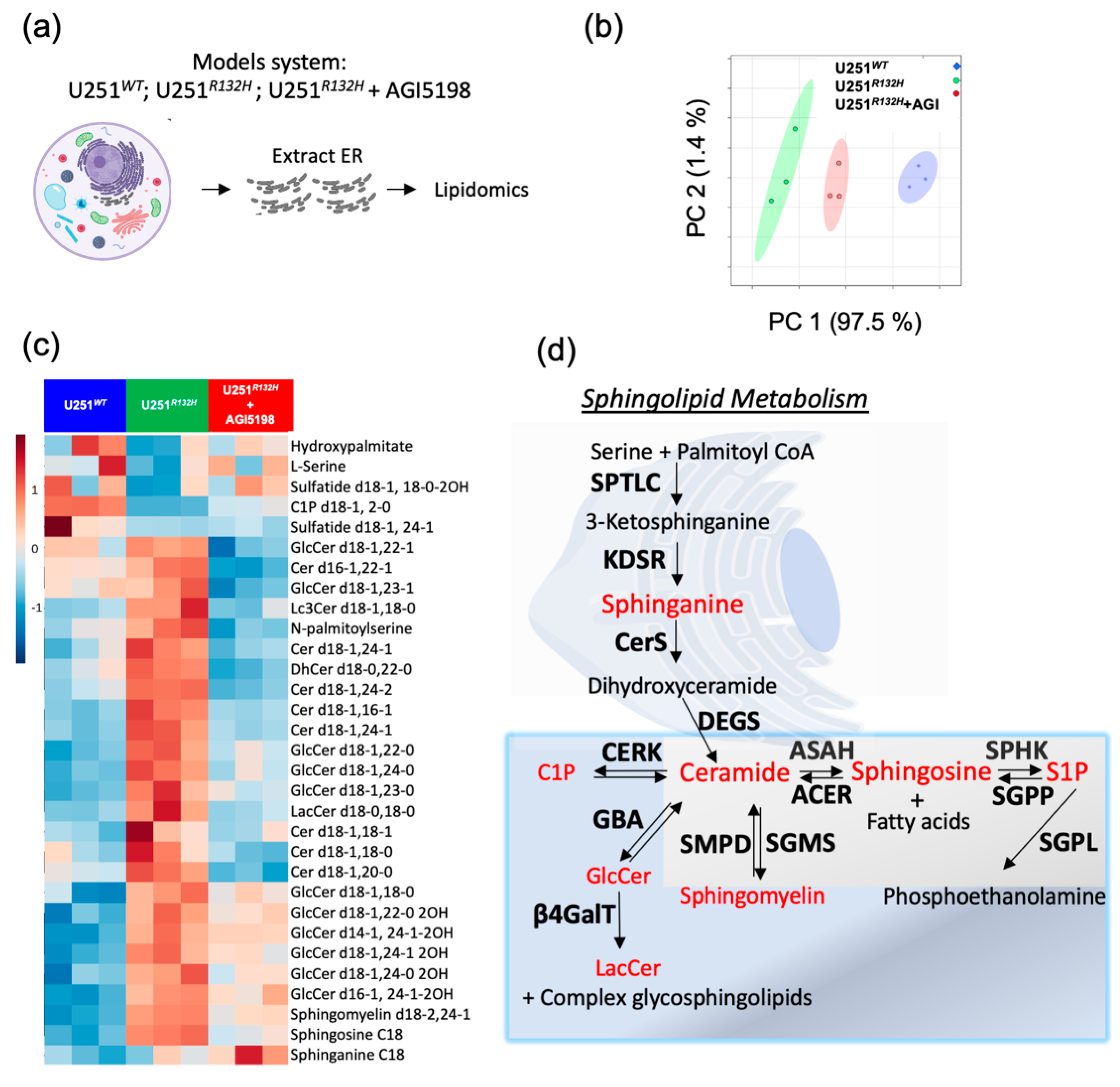 Cancers 12 02910 g002