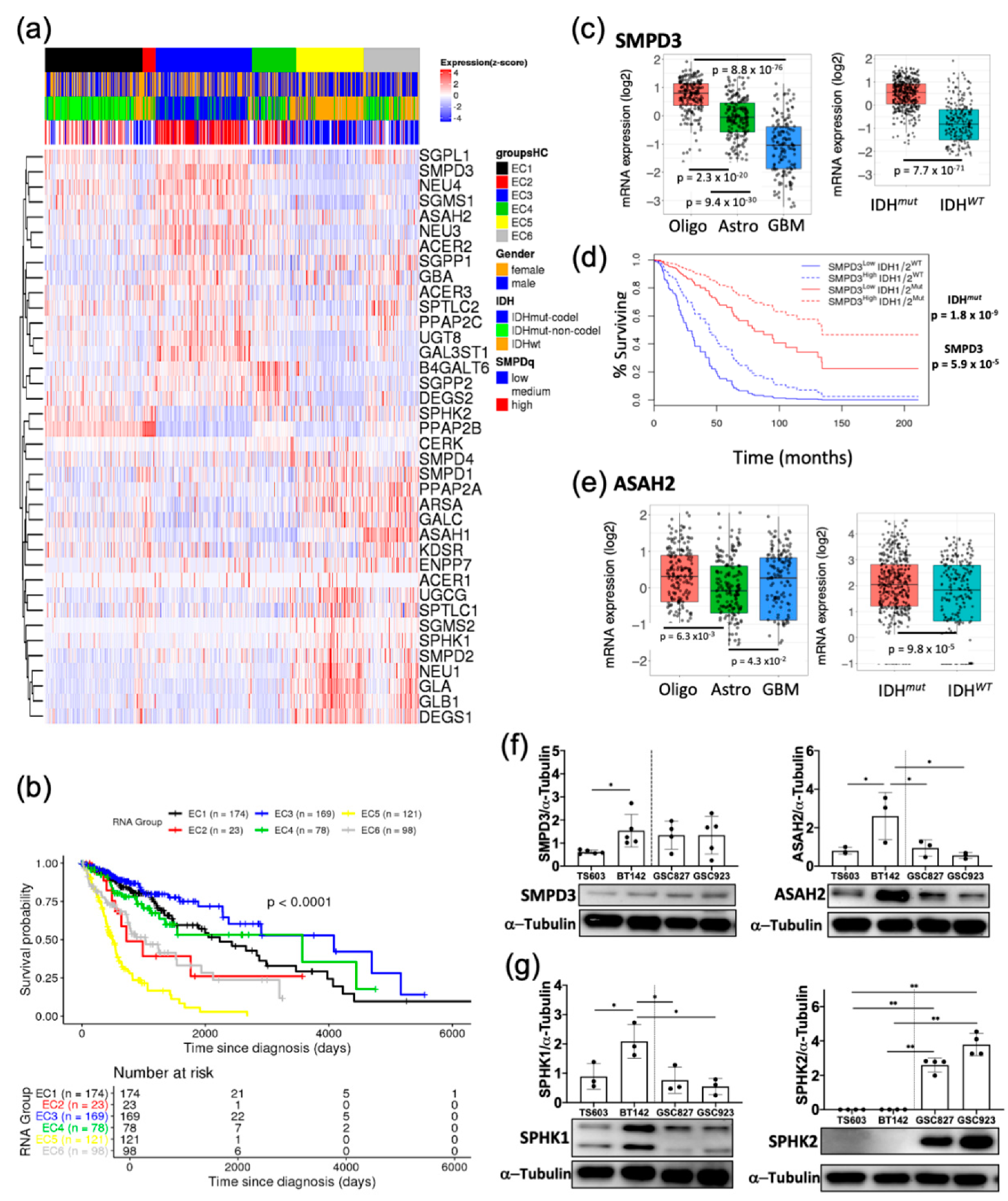 Cancers 12 02910 g003