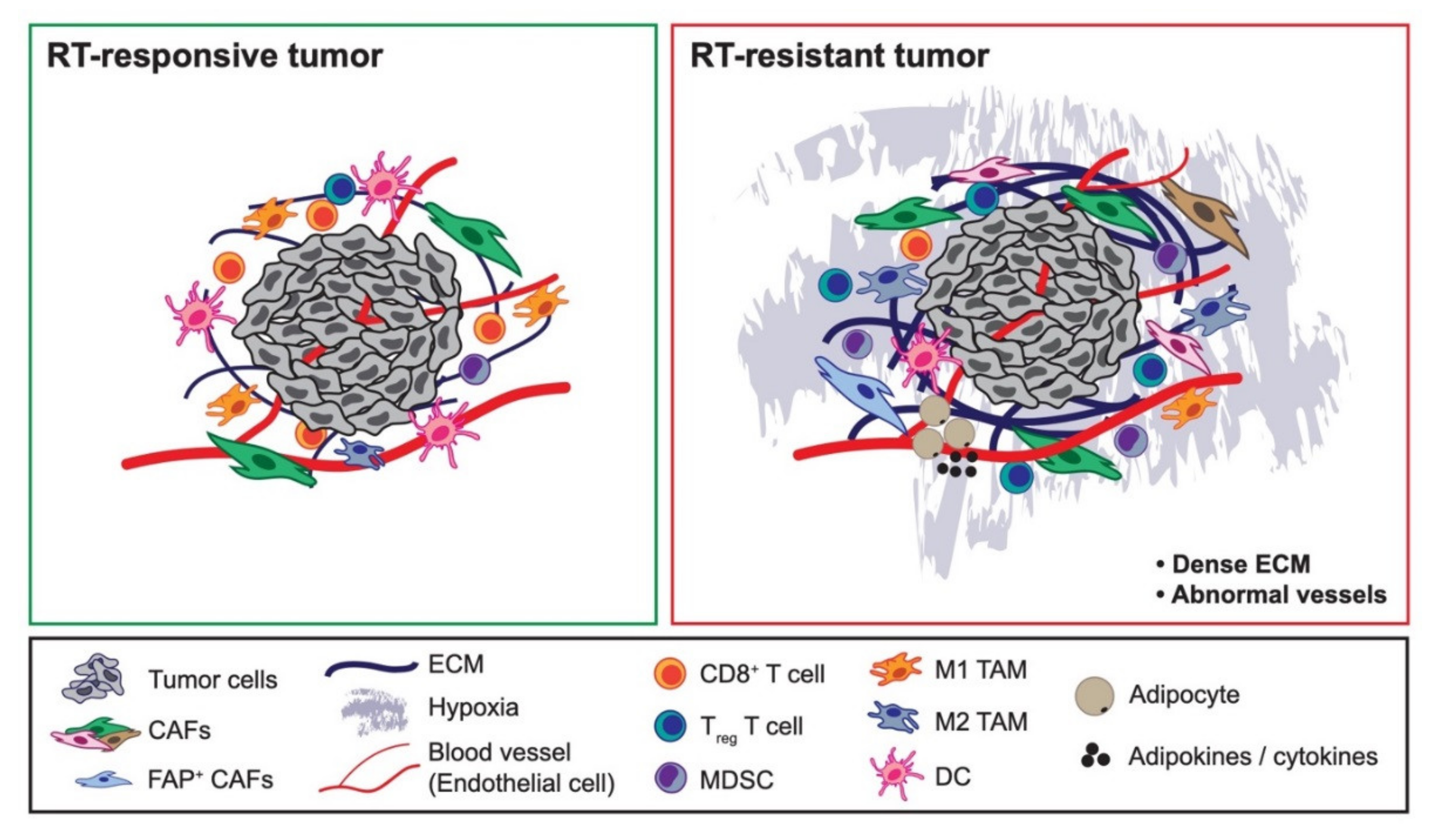 Cancers 12 02916 g001 Cancers 12 02916 g001