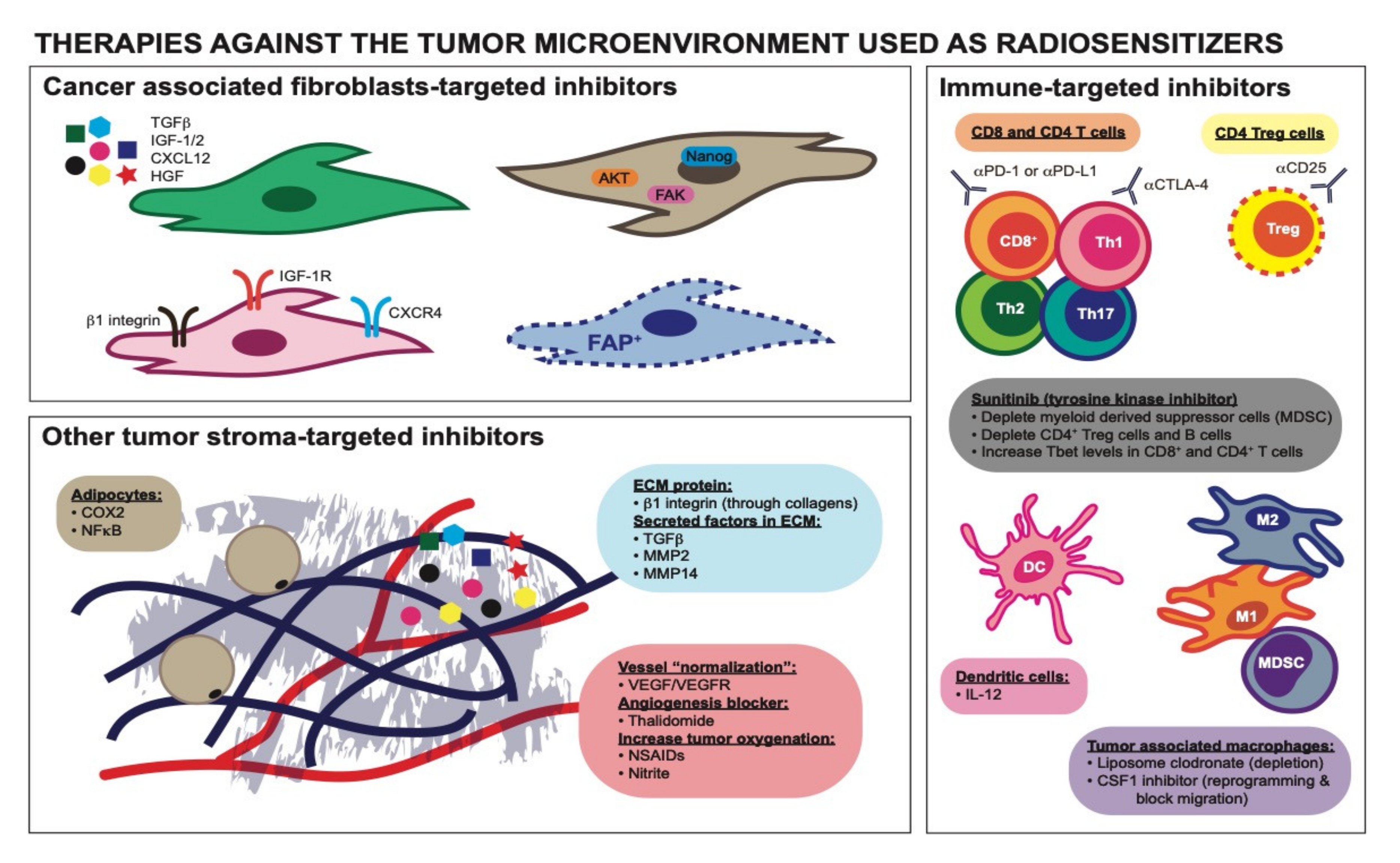 Cancers 12 02916 g002 Cancers 12 02916 g002