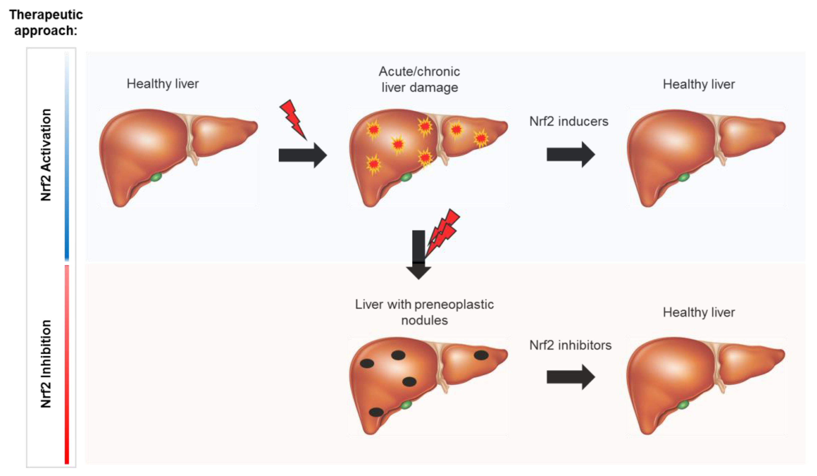 Cancers 12 02932 g002
