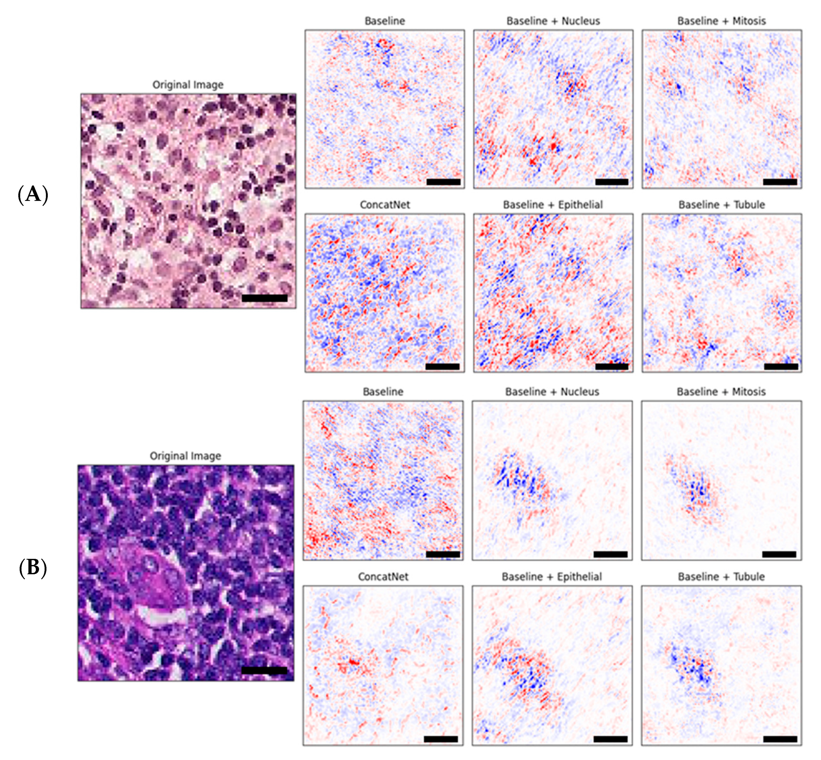 Cancers 12 02934 g003