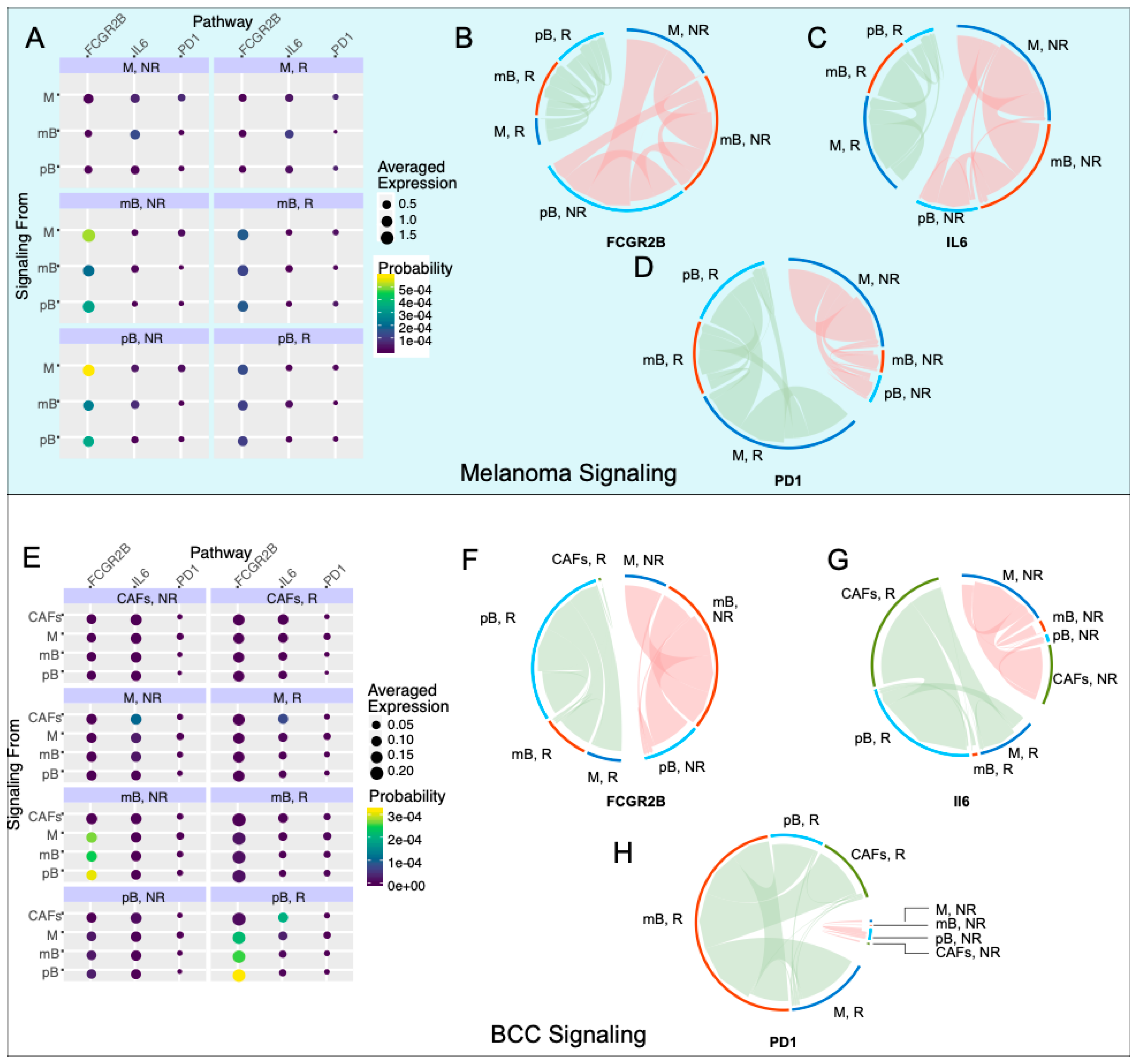 Cancers 12 02946 g004 Cancers 12 02946 g004