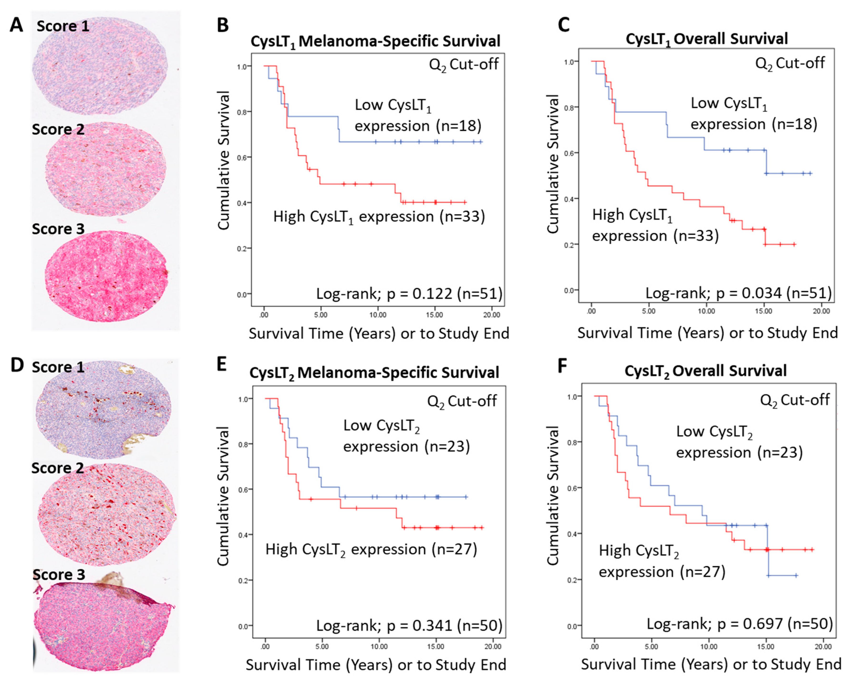 Cancers 12 02950 g002
