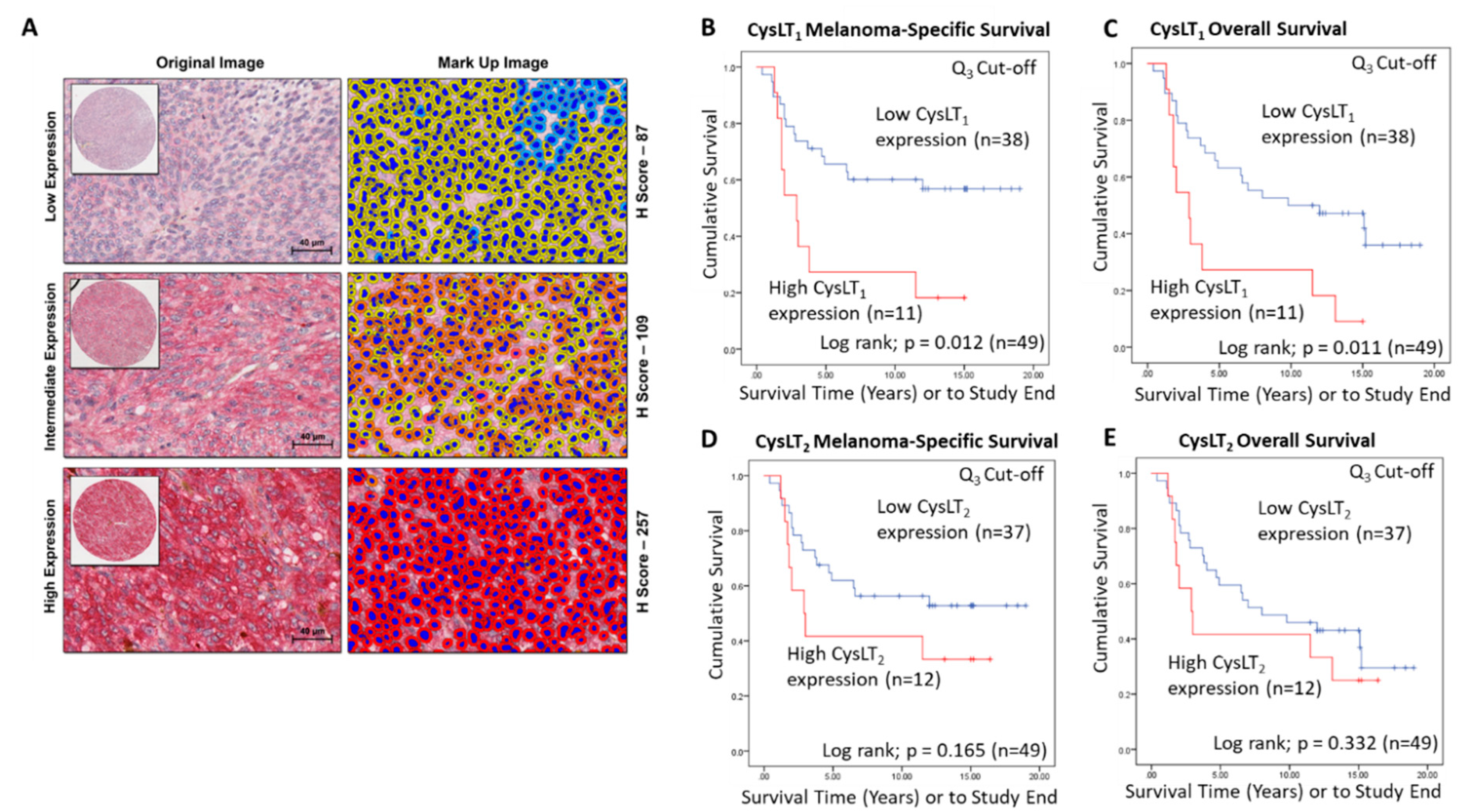Cancers 12 02950 g003