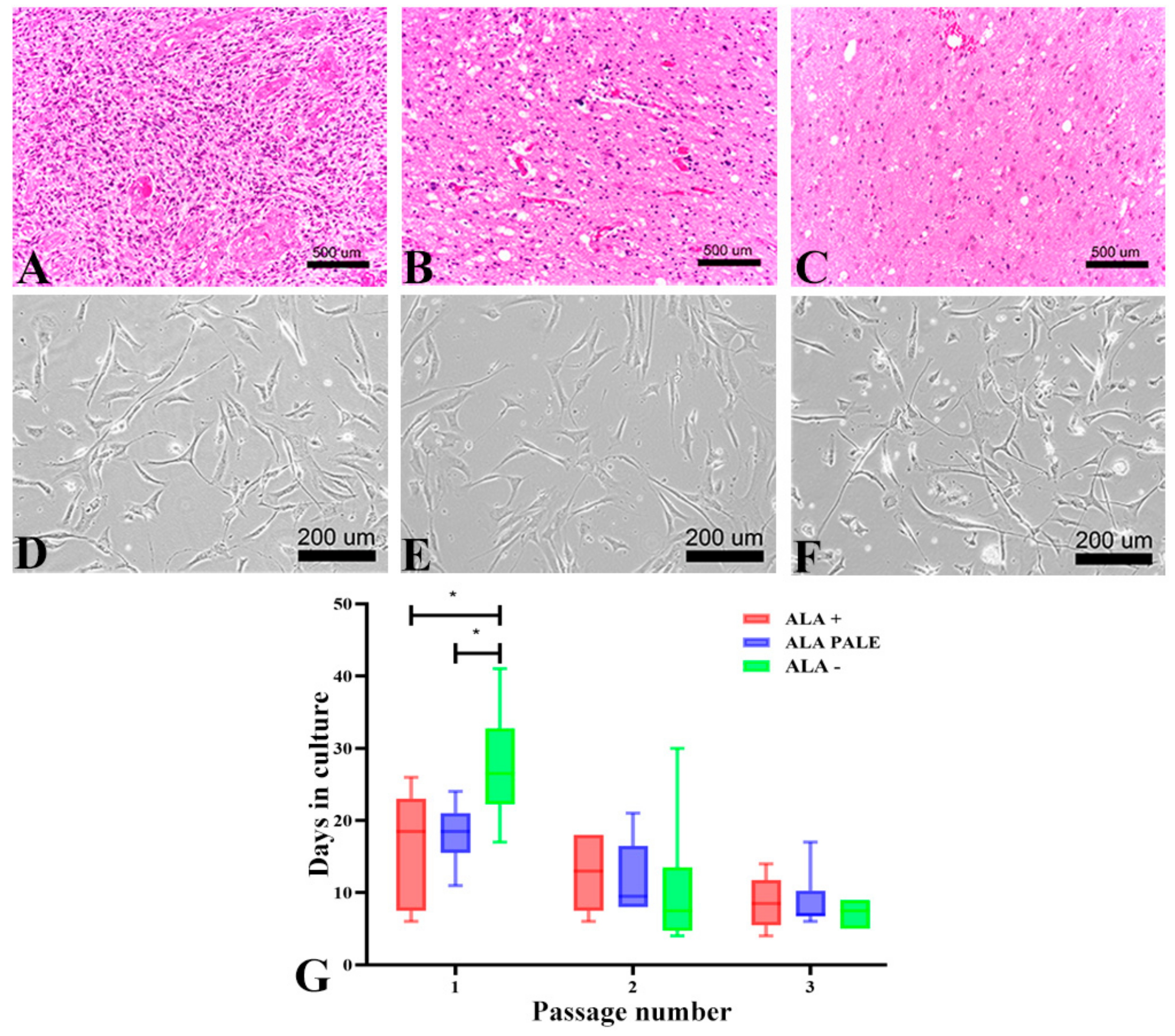 Cancers 12 02960 g001