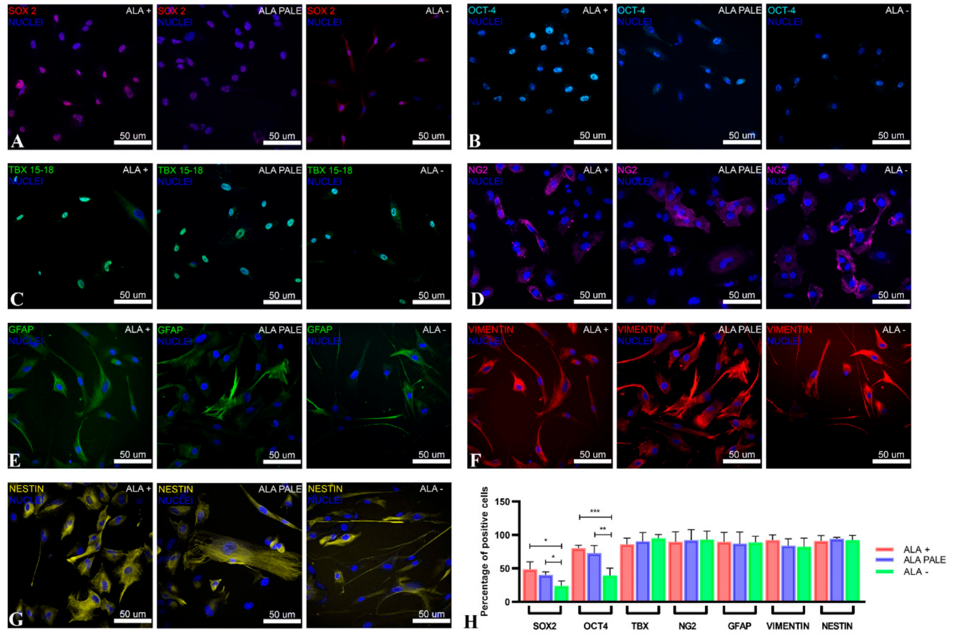Cancers 12 02960 g002