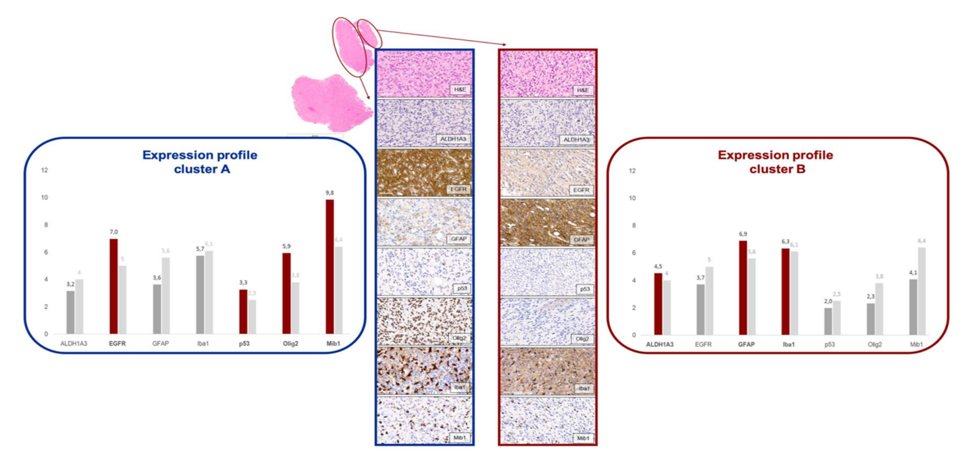 Cancers 12 02964 g004 Cancers 12 02964 g004