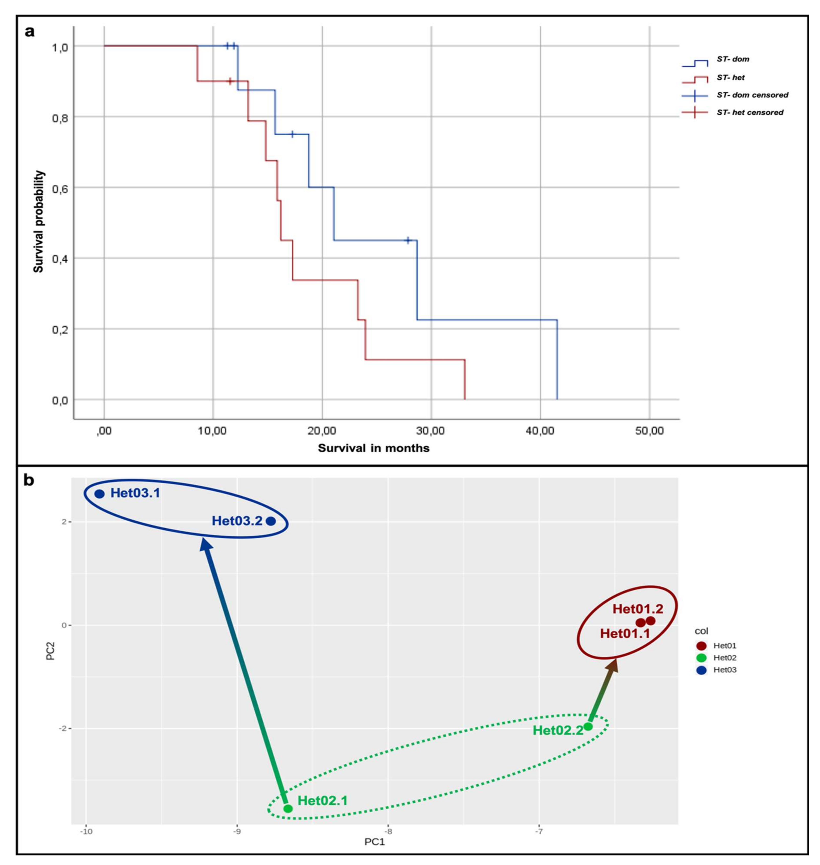 Cancers 12 02964 g005 Cancers 12 02964 g005