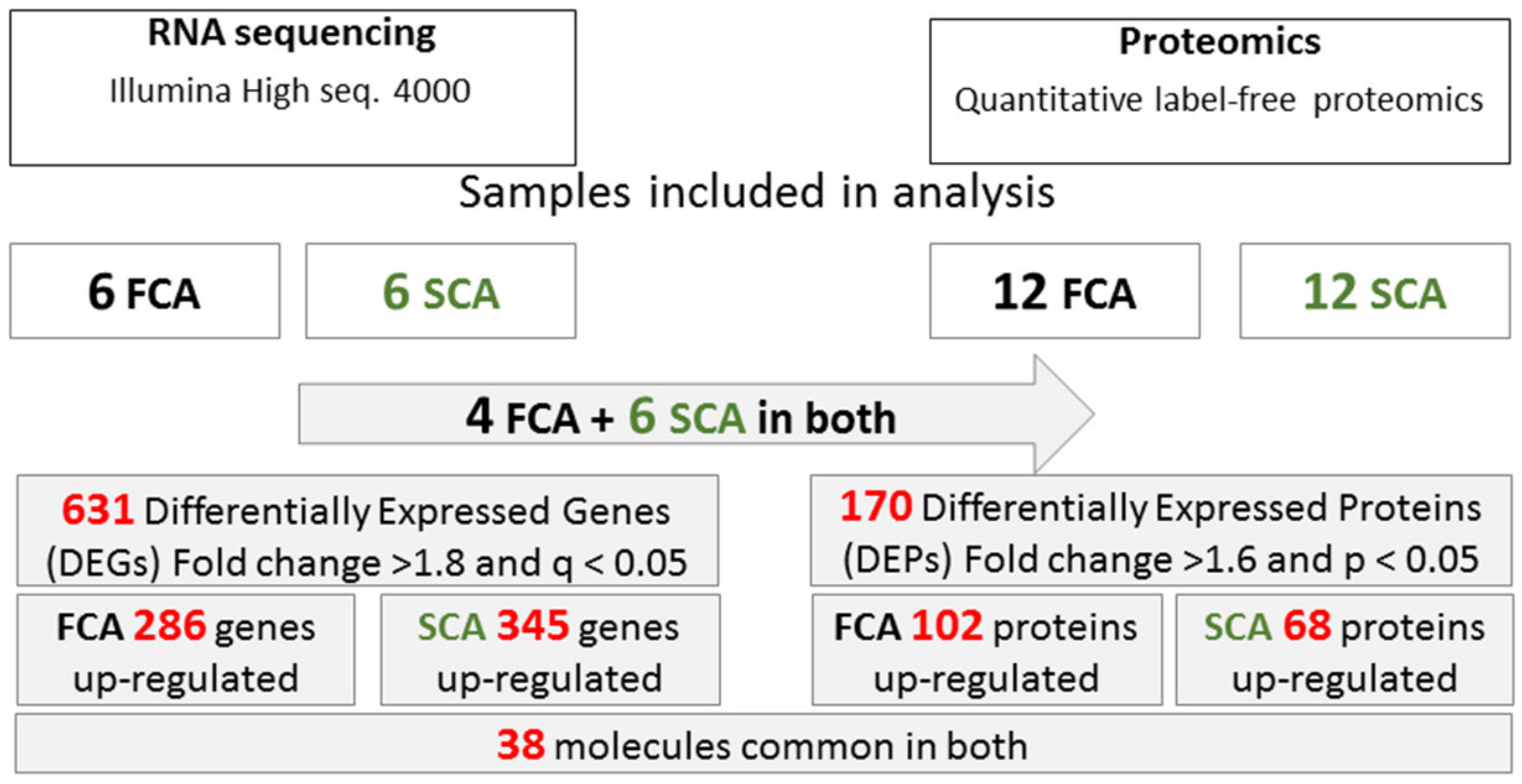 Cancers 12 02980 g006