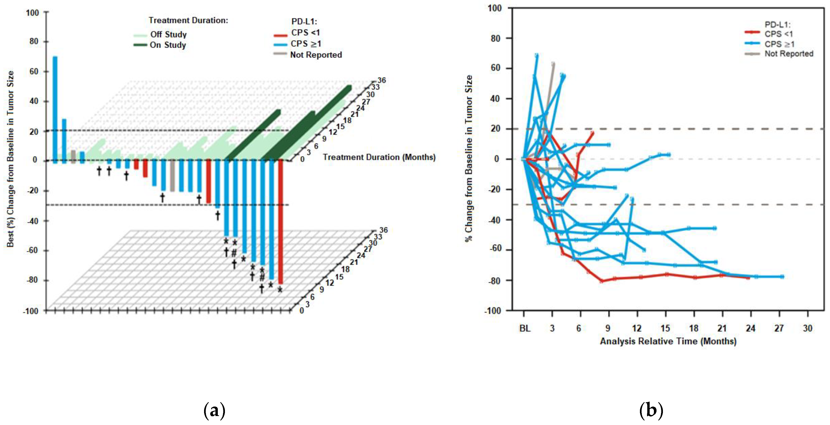 Cancers 12 02985 g001 Cancers 12 02985 g001