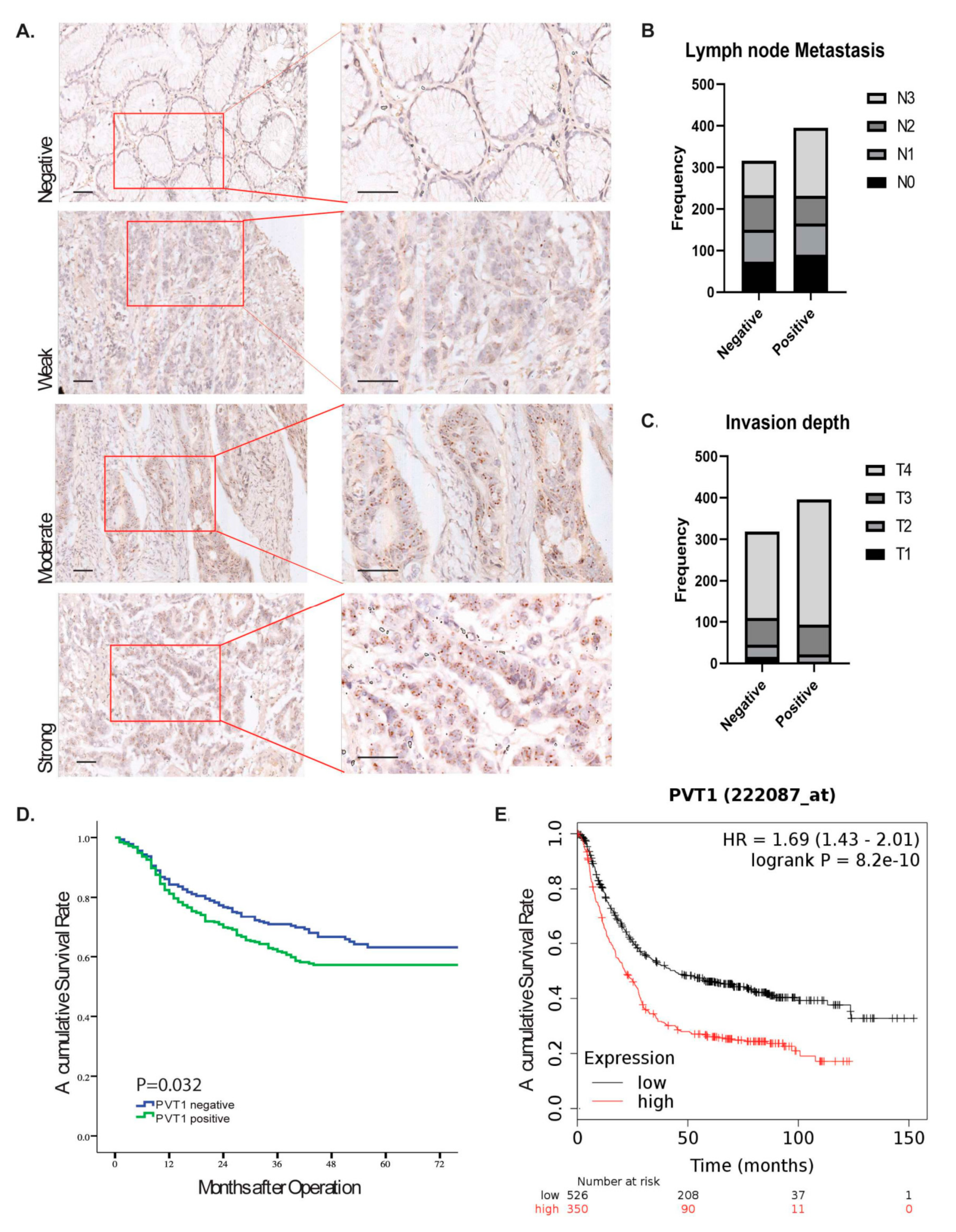 Cancers 12 02995 g002