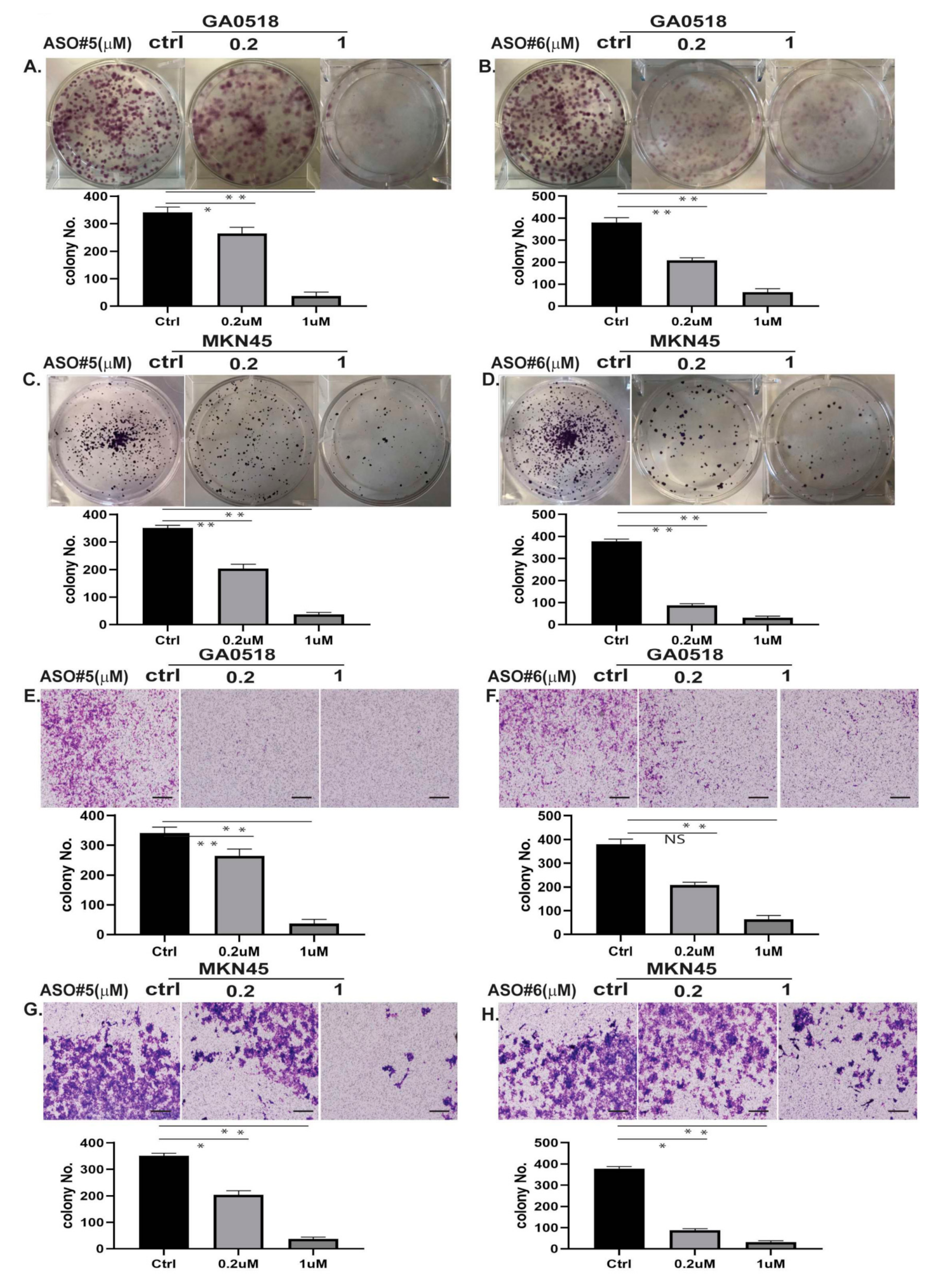 Cancers 12 02995 g004